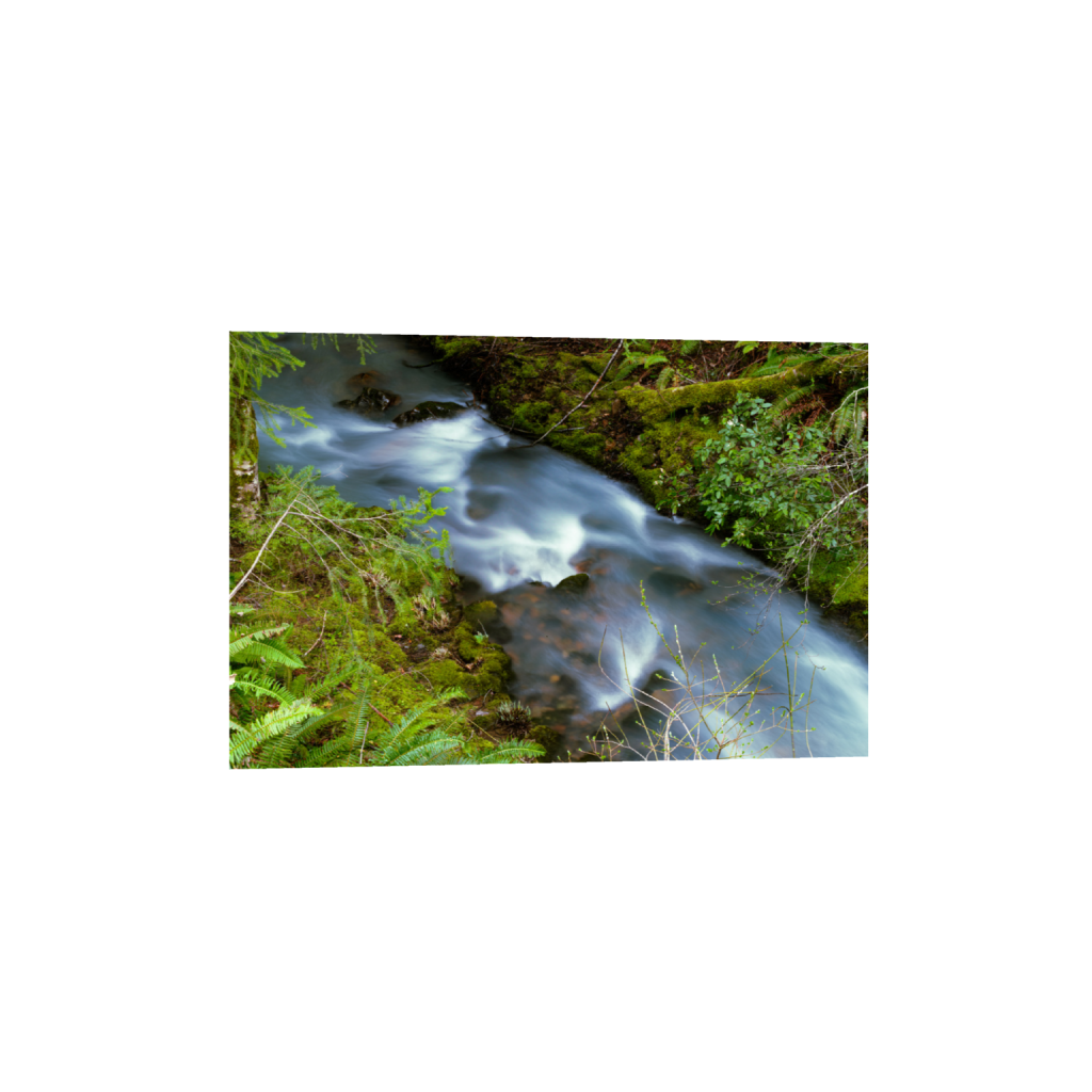 ptq_1_3_0_0_9504_6336_0_false_ffffff_0_0_.png