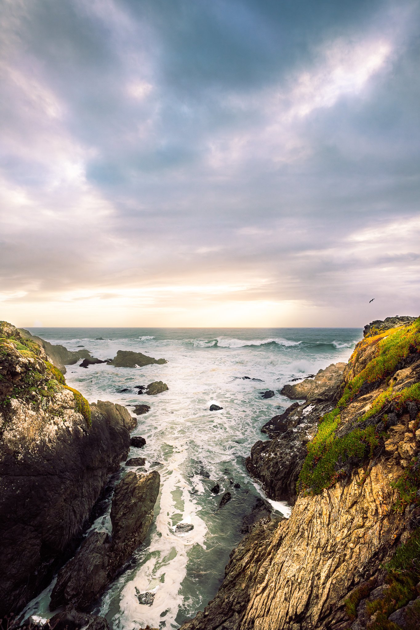 Pomo Bluffs, Fort Bragg