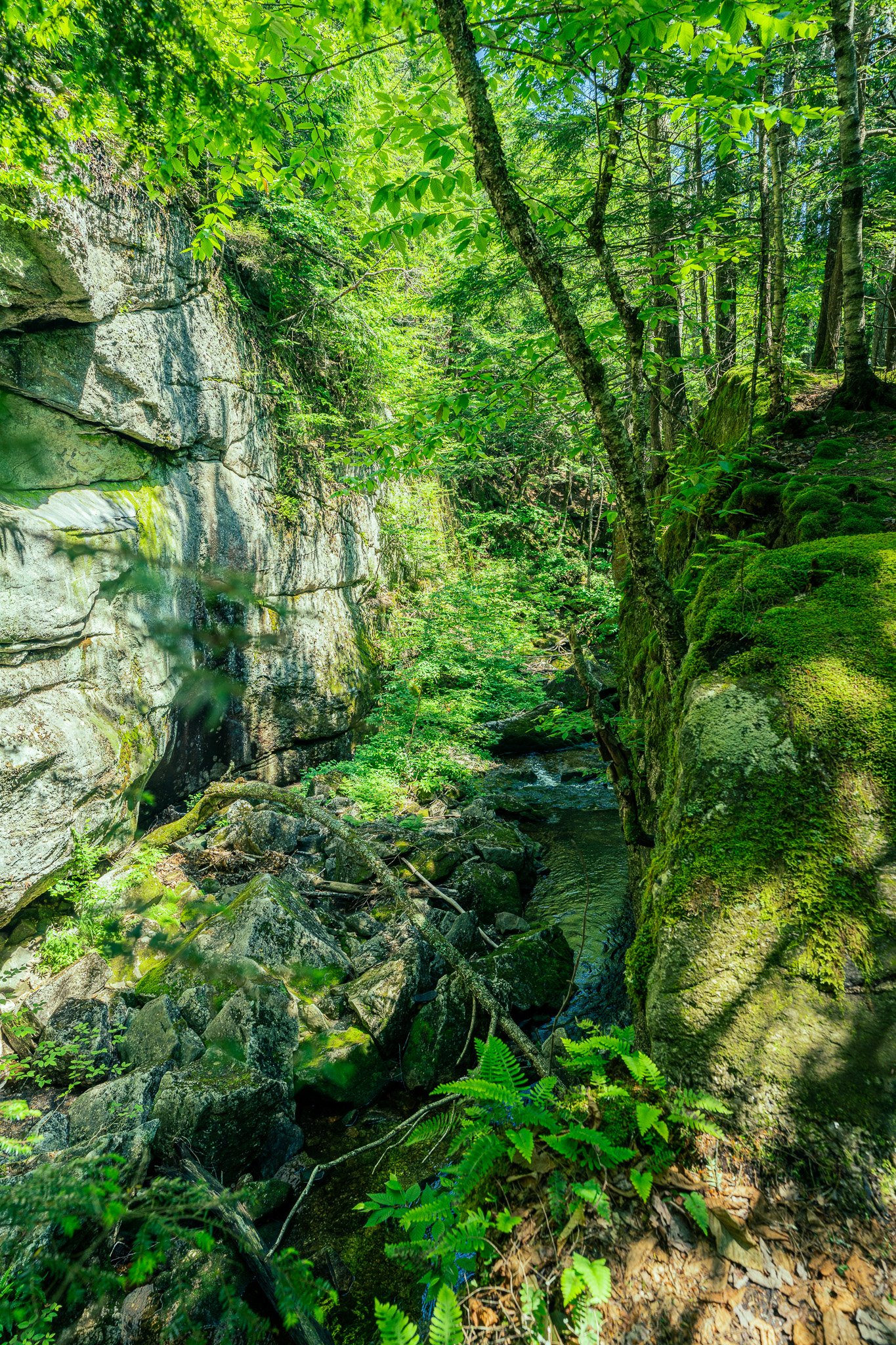 Mother Walker Falls gorge, Grafton Notch State Park