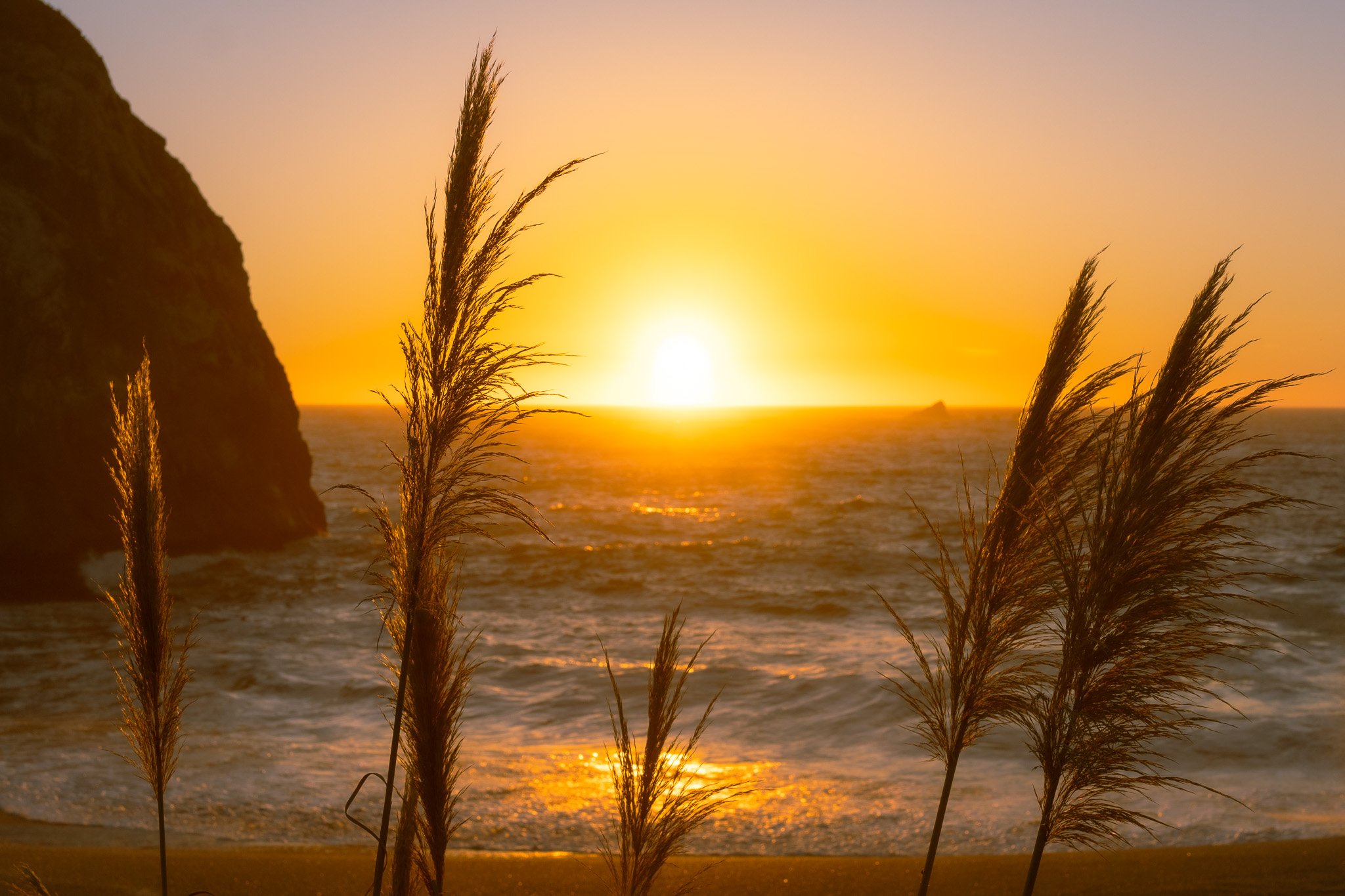 Sunset at Goat Rock, Sonoma Coast, California