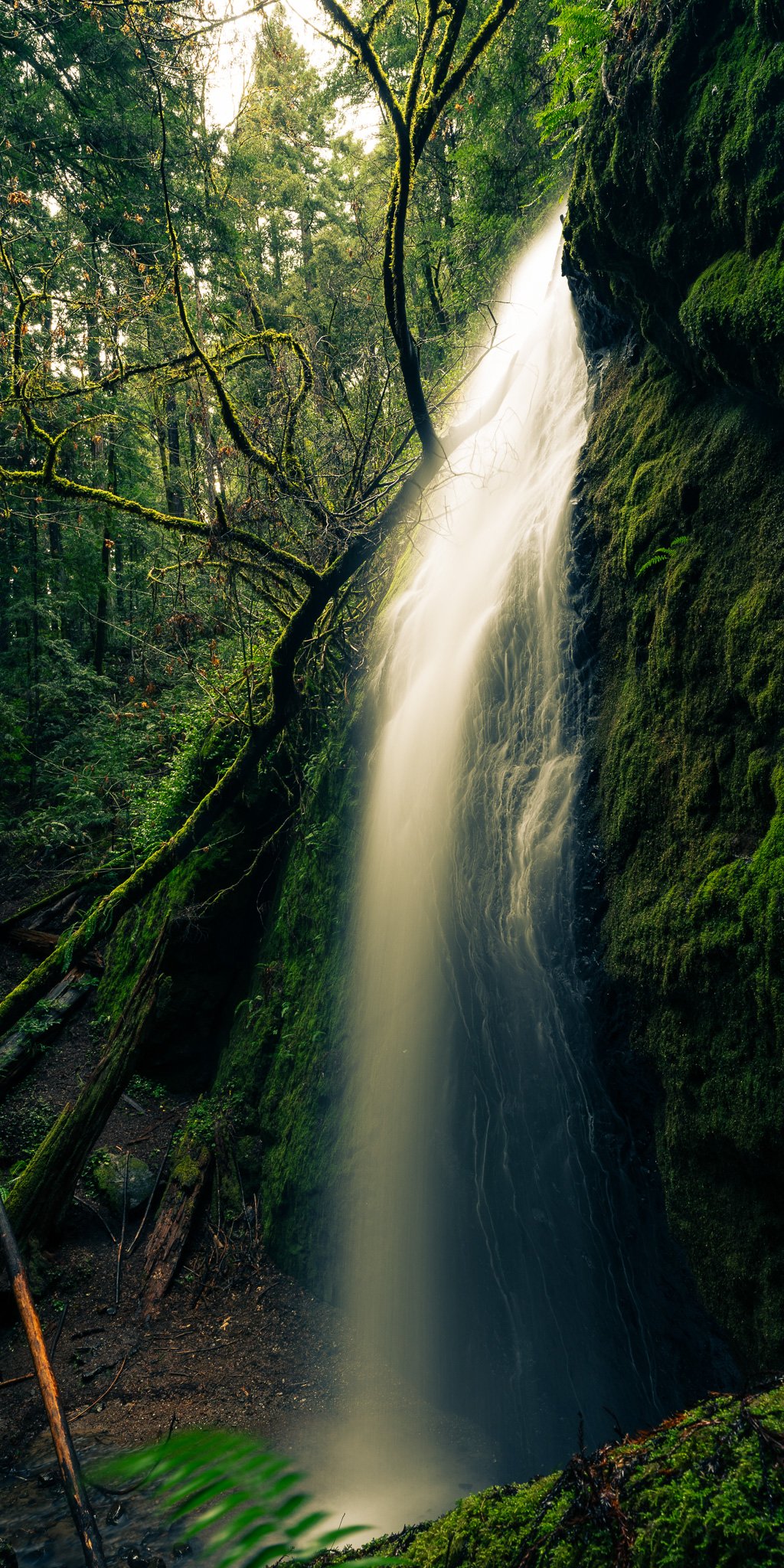 Chamberlain Creek waterfall, Mendocino County