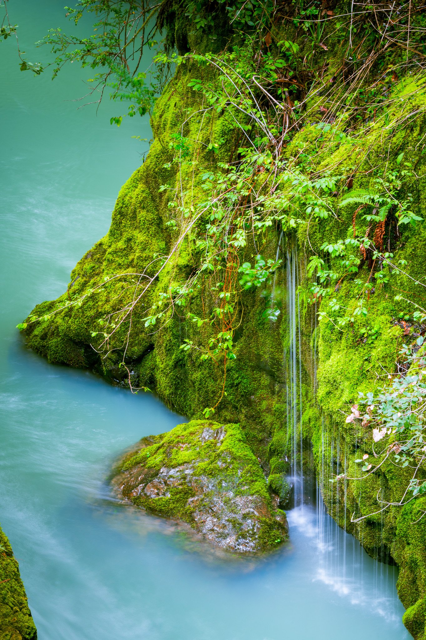 Chamberlain Creek, Mendocino County