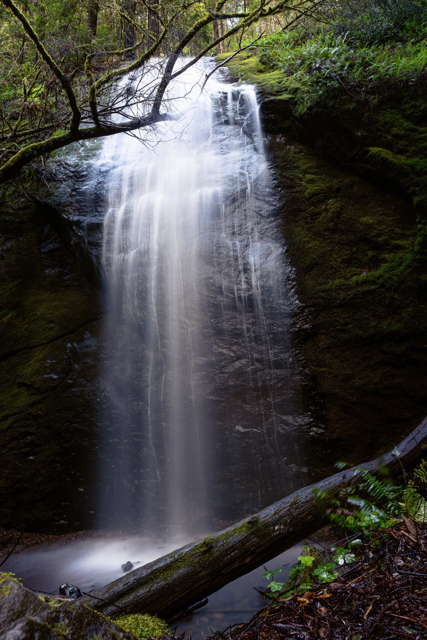 Chamberlain Creek waterfall, Mendocino County