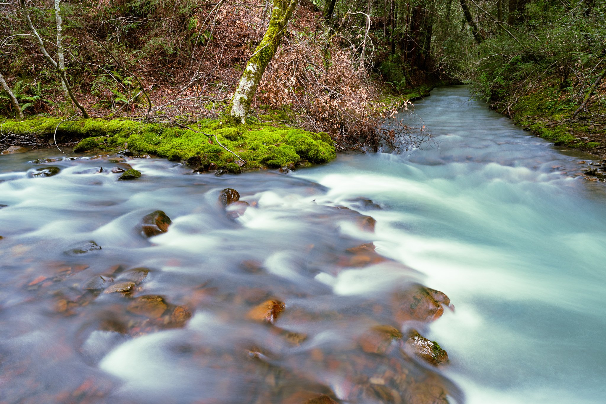 Chamberlain Creek, Mendocino County