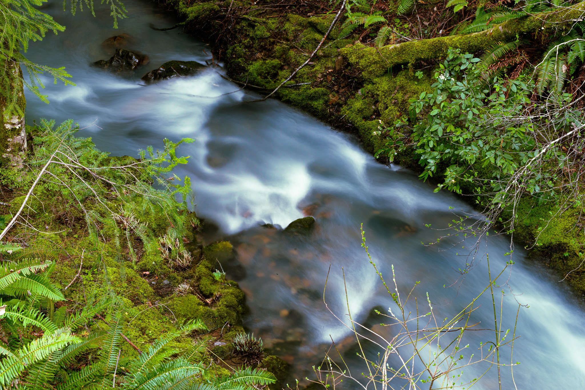 Chamberlain Creek, Mendocino County