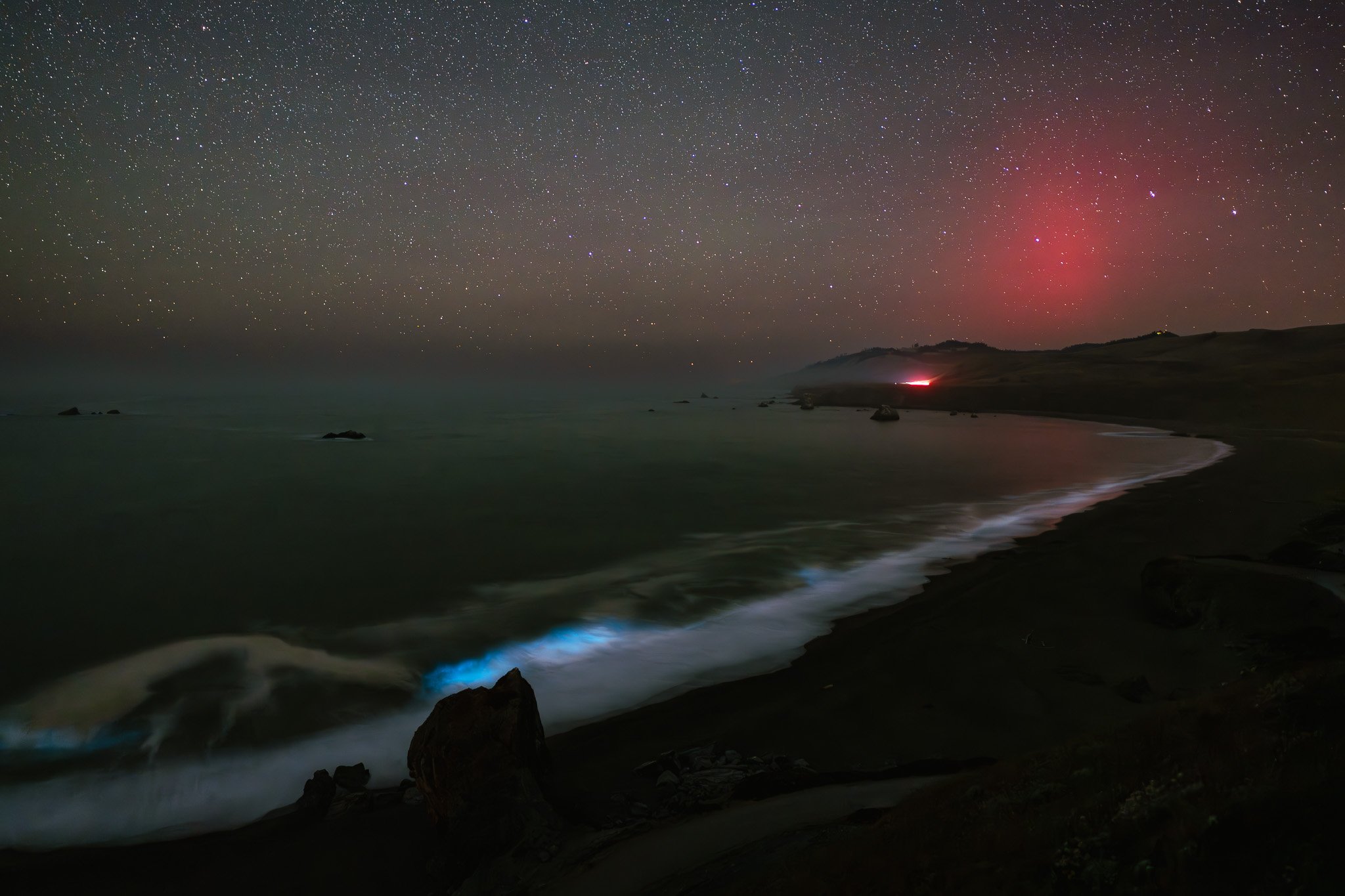 Aurora borealis, bioluminescence at Goat Rock State Beach, Sonoma Coast, California