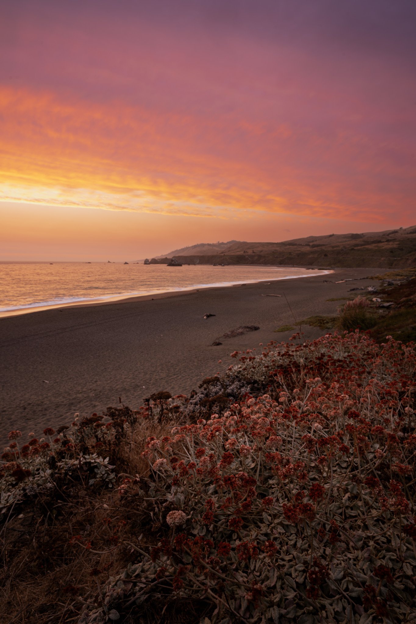 Goat Rock State Beach, Sonoma Coast, California