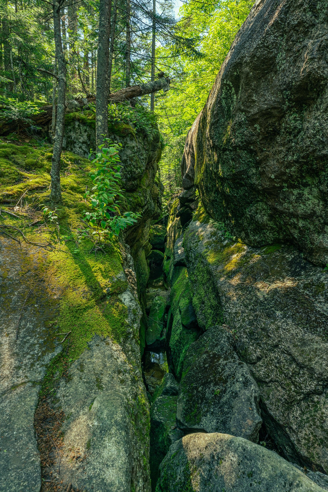 Moose Cave, Grafton Notch State Park
