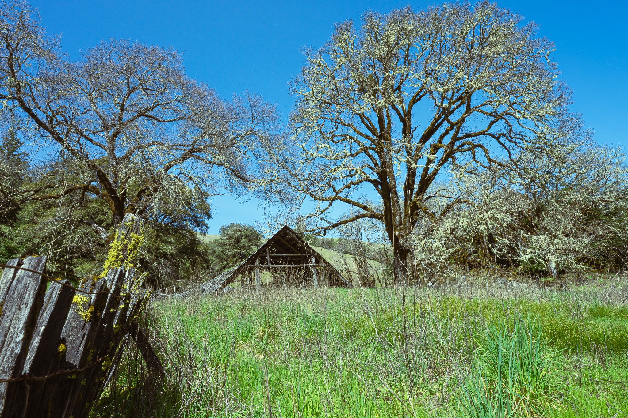 Barn along Highway 20