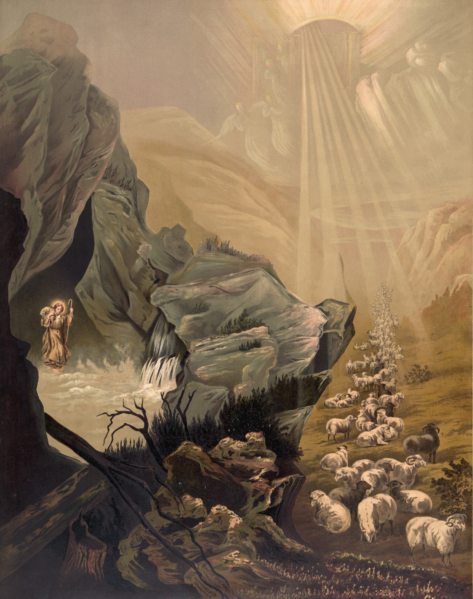 "The Good Shepherd would not let us perish" Trinity 3 2023