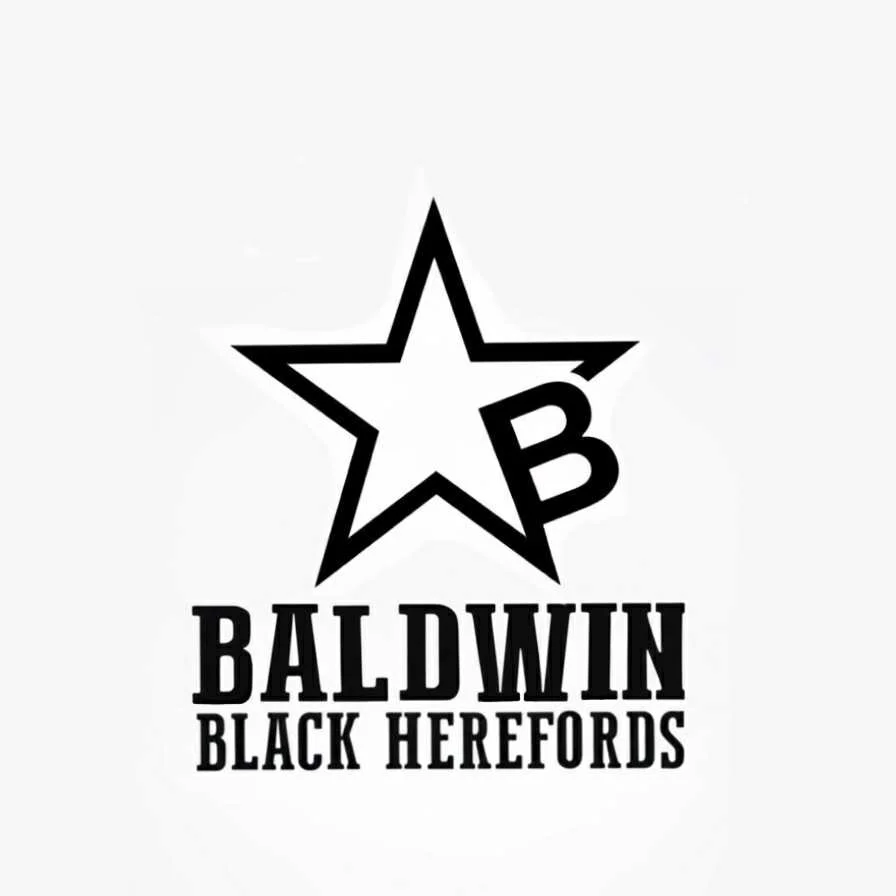 Baldwin Black Herefords