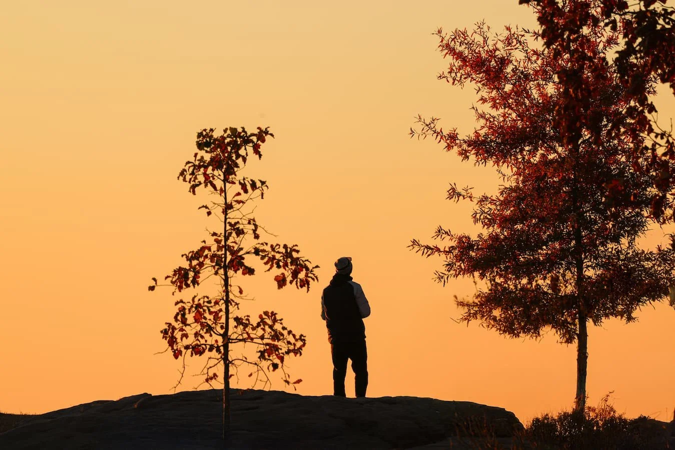 person standing alone looking into the sky