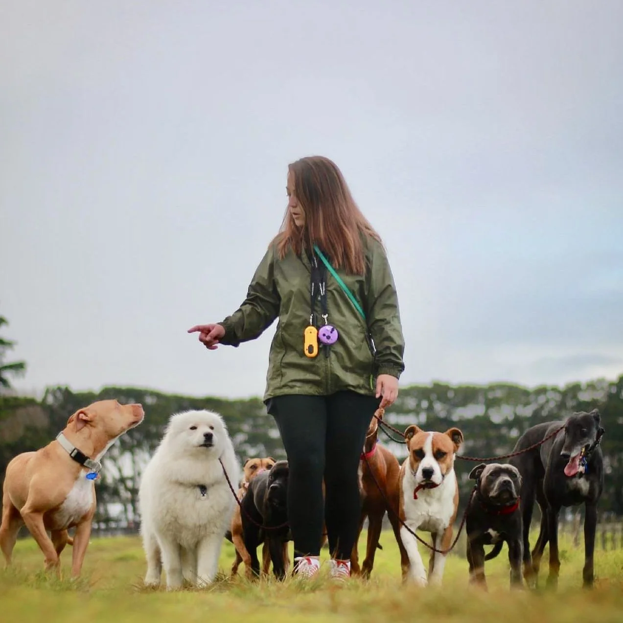 A woman surrounded by multiple dogs outdoors on a grassy field, with trees and a cloudy sky in the background.