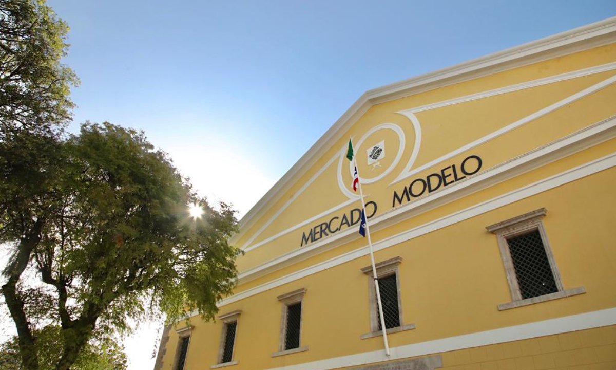 mercado modelo capoeira new zealand 4.jpeg