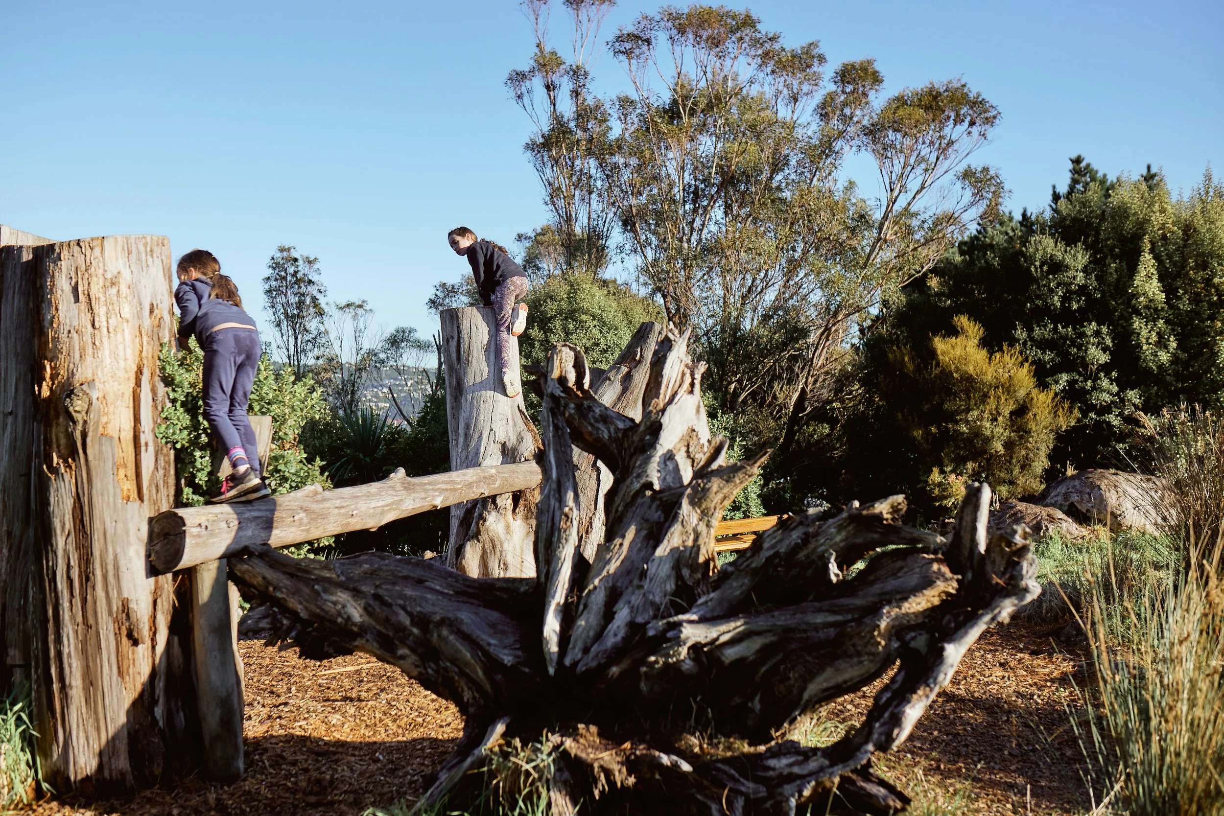 Two children climbing on tree stumps and logs in a park with green trees and a clear blue sky.