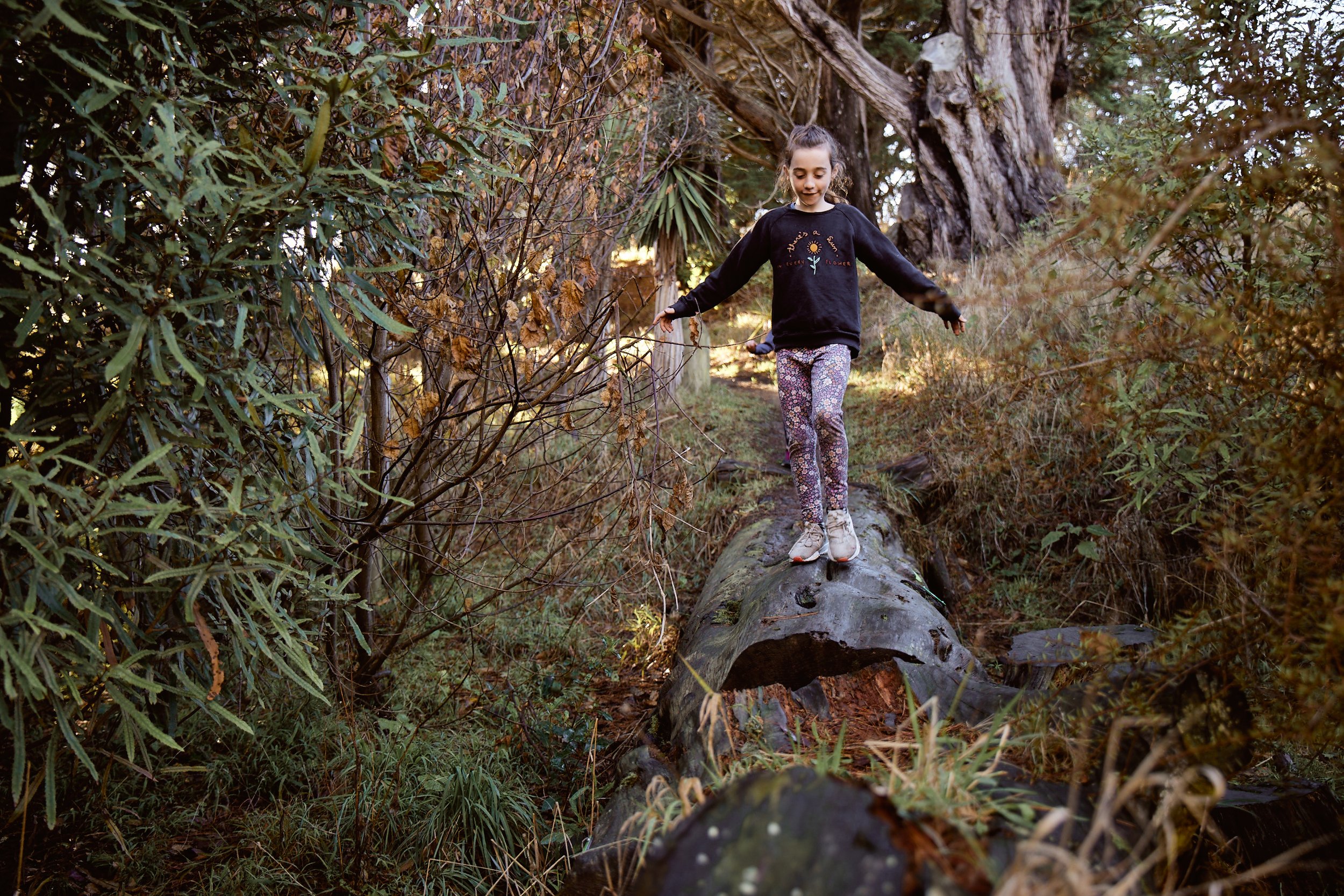 A young girl balancing on a fallen tree trunk in a forested area, surrounded by green and brown foliage, with sunlight filtering through the trees.