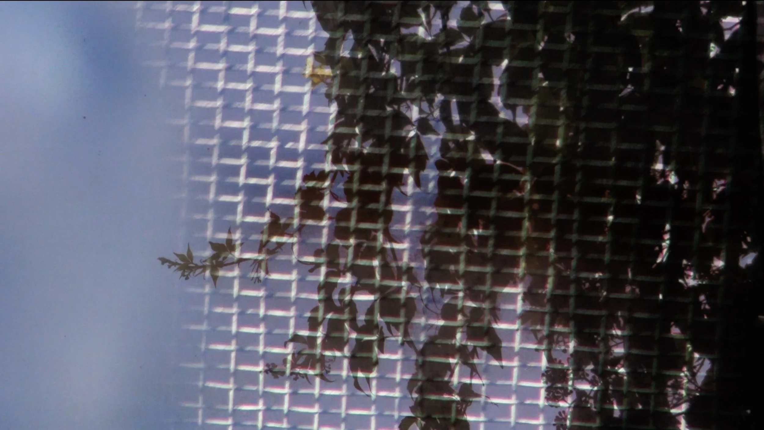 Screenshot 2025-08-07 at 1.39.44 AM.jpeg