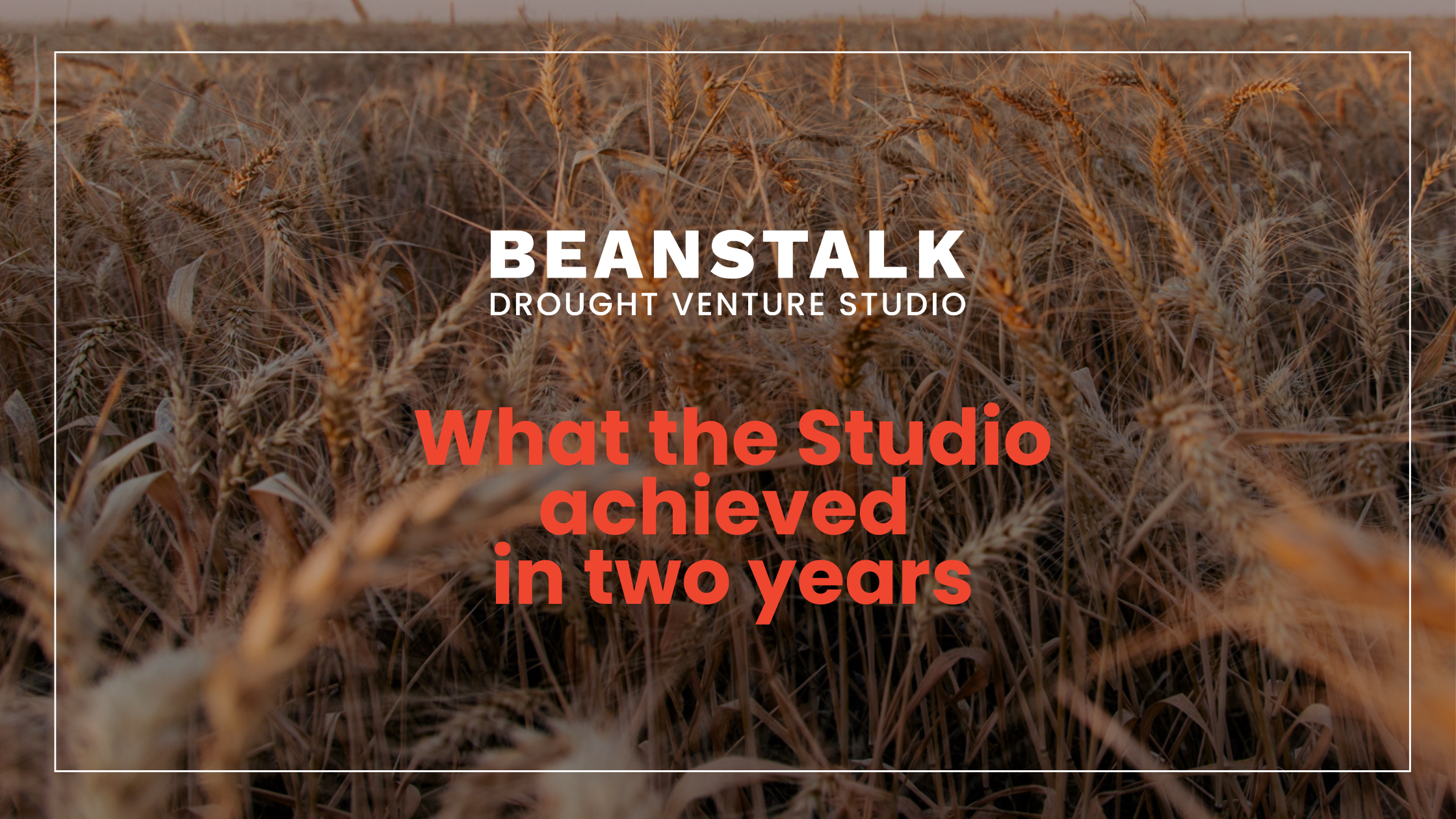 Celebrating two years of impact: Outcomes of the Drought Venture Studio program