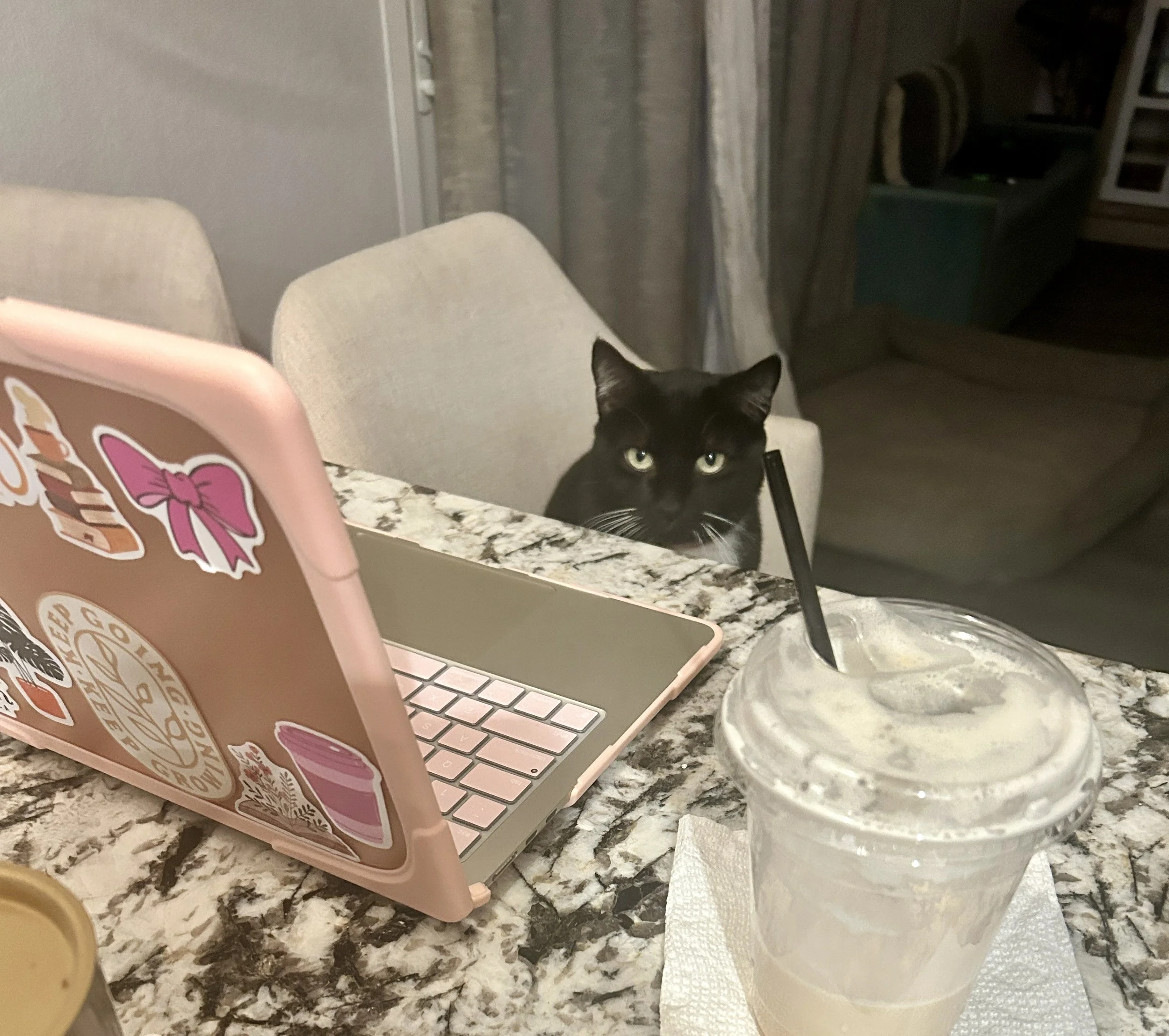 Black cat sitting on a chair at a computer.