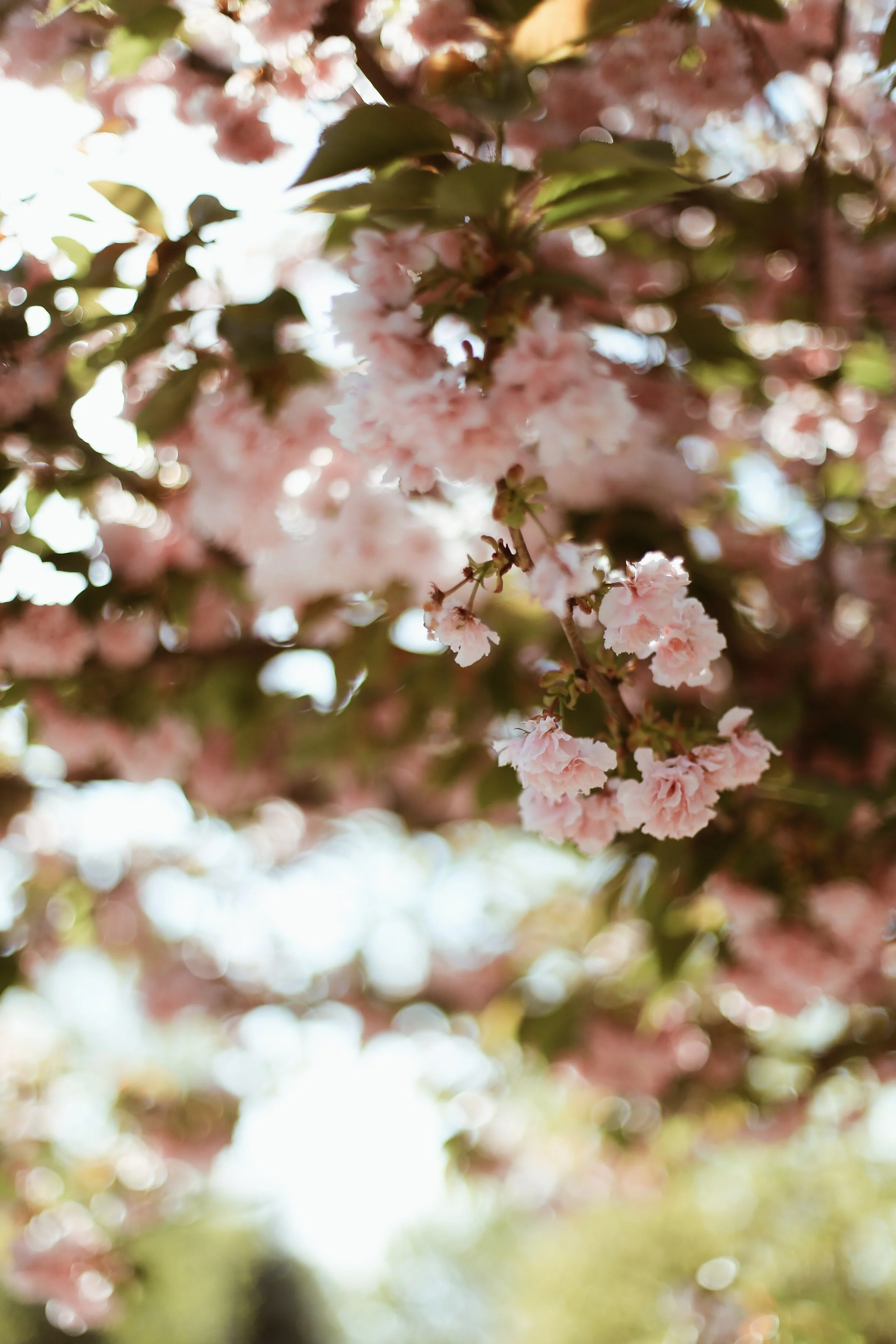 Blog Post Title
