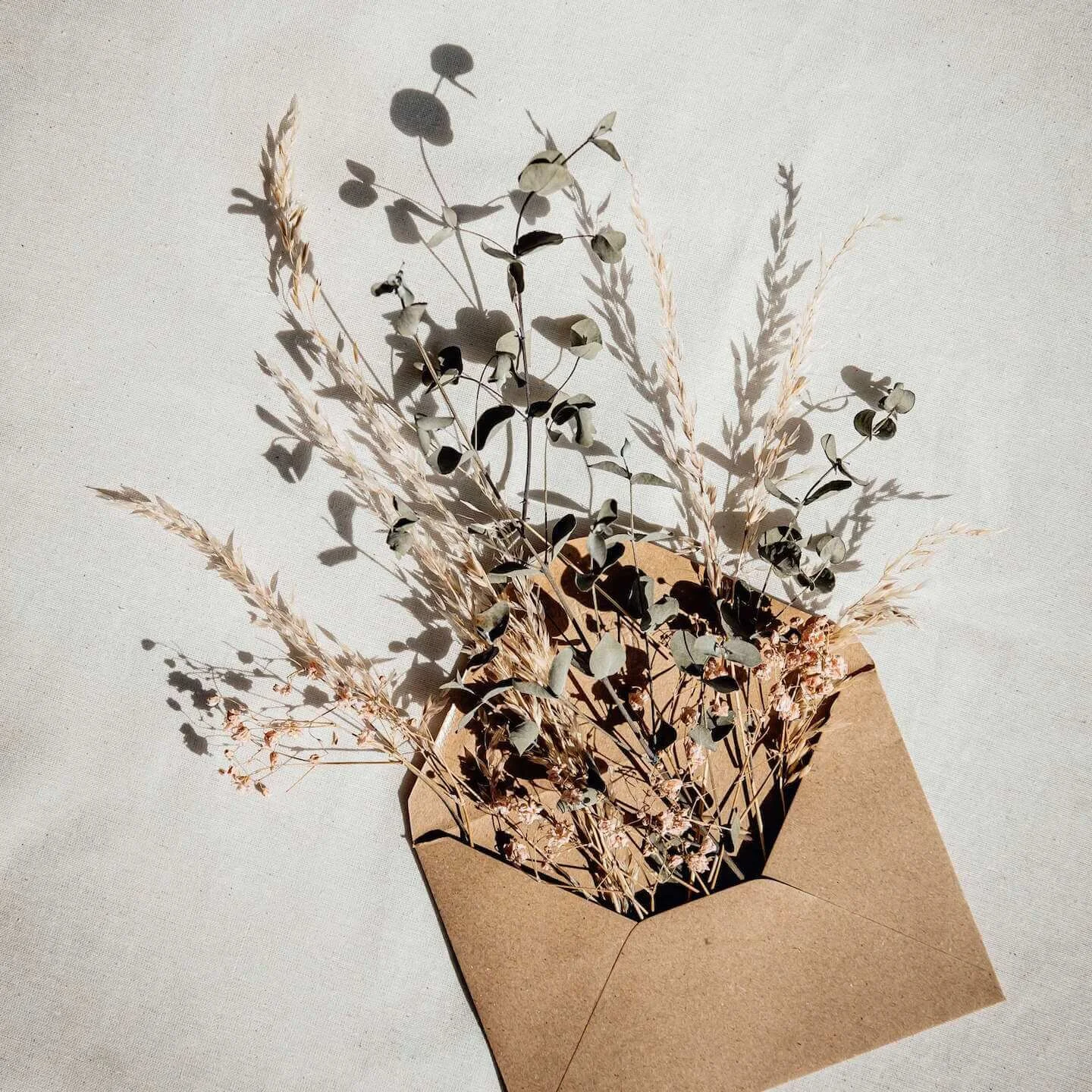 Corsica-blog2-leaves-in-envelope.jpg