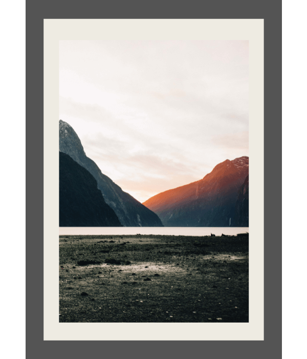 Untitled design (12).png