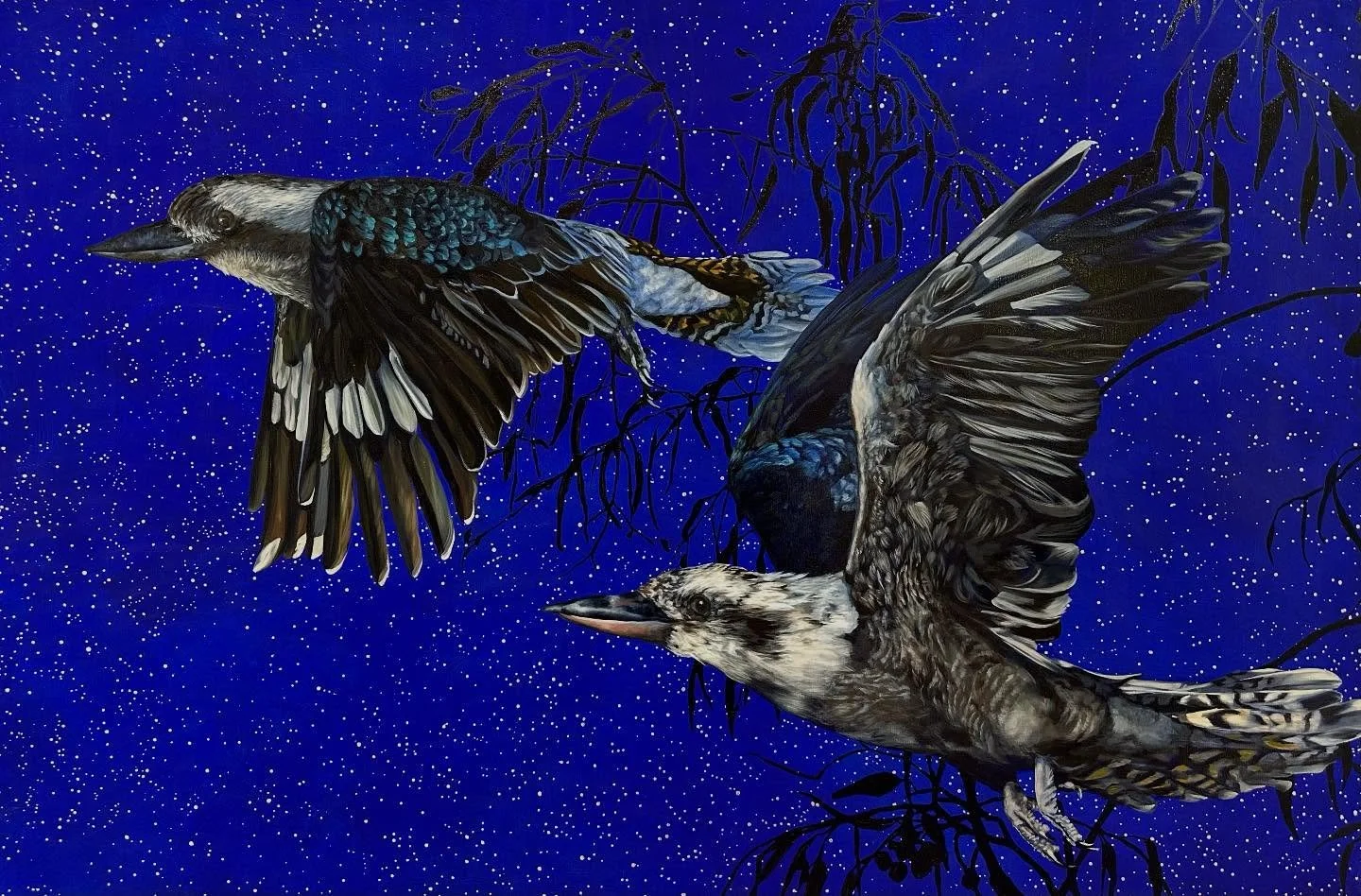 Kookaburras are commonly viewed as a symbol for family, a positive outlook and of-course humour. Things we all need but sometimes take for granted. 

A unique gift to this country the beautiful kookaburra is.

1.5m x 1m 
Oil and silver leaf on canvas