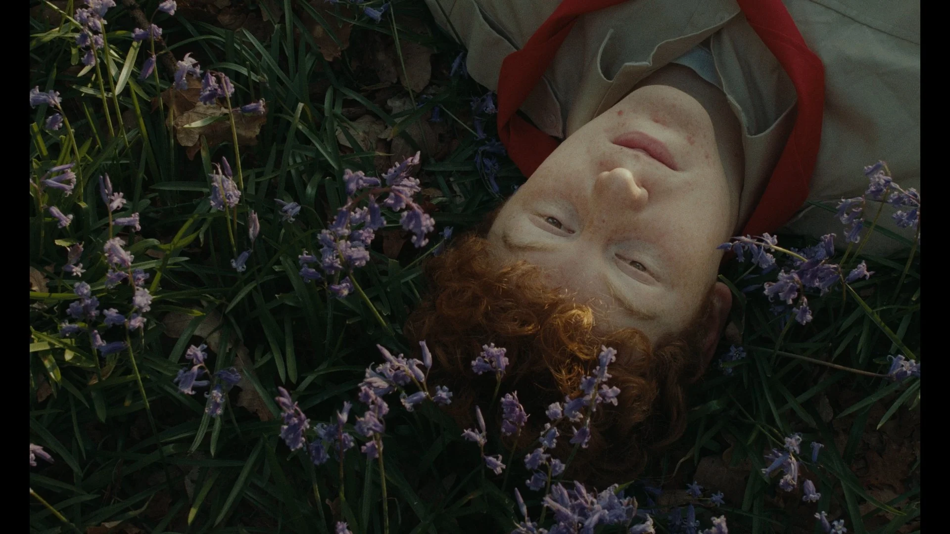 A Field of Wild Fox Gloves (2023)