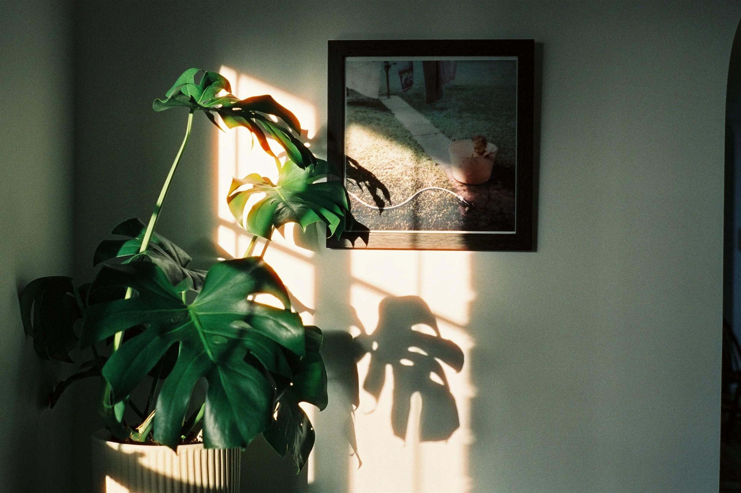 096790016.JPG