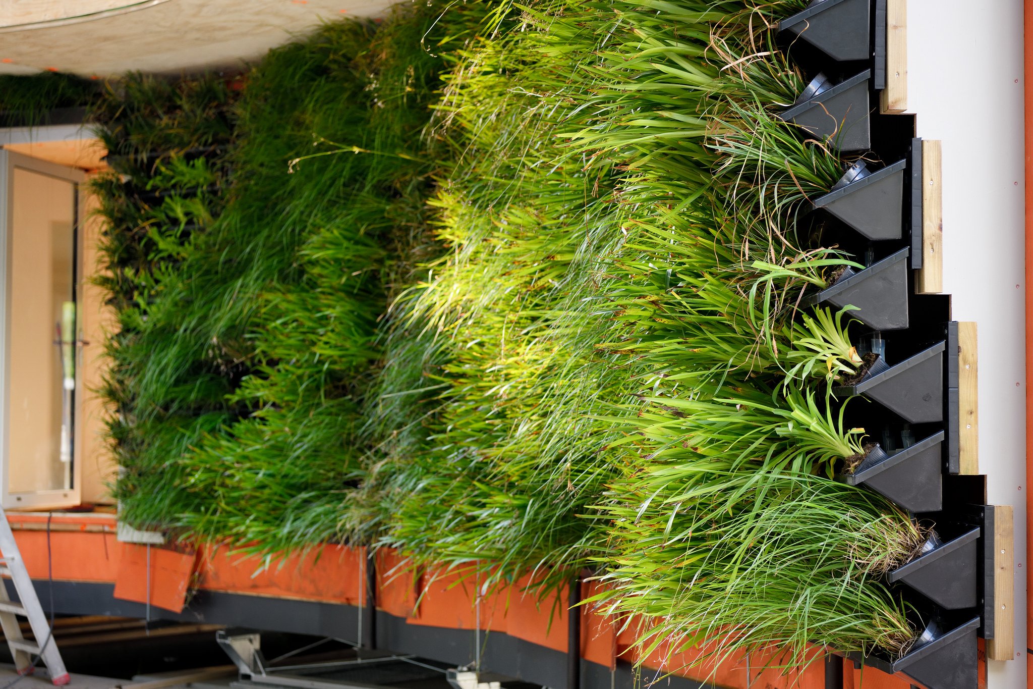 linq-green-wall.jpg