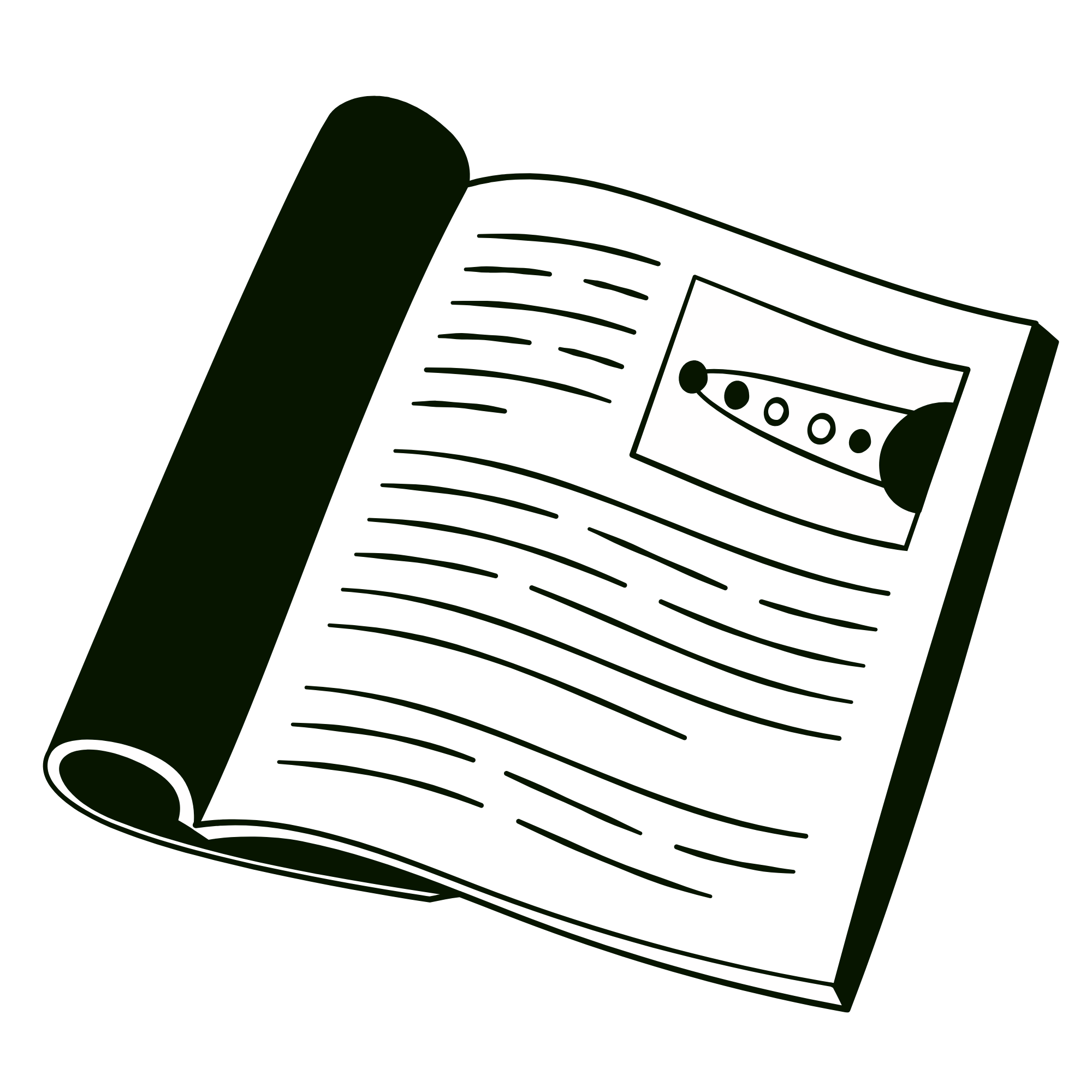 Writing Worksheet: Argument Paragraph Structure