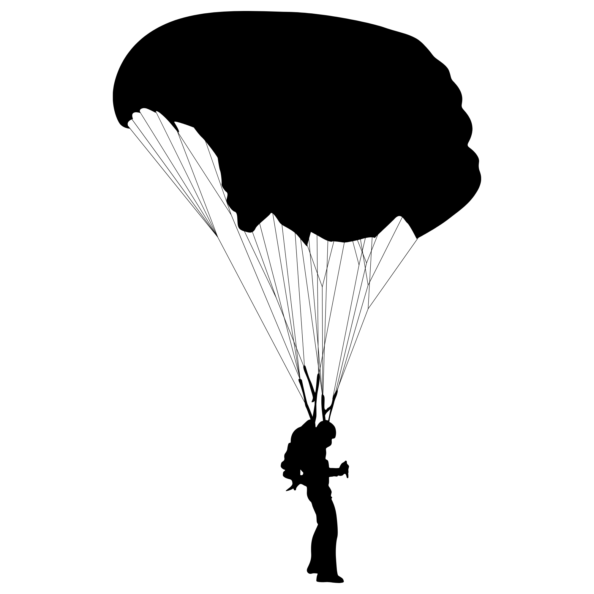 Reading Worksheet: To Fly by  Neil deGrasse Tyson