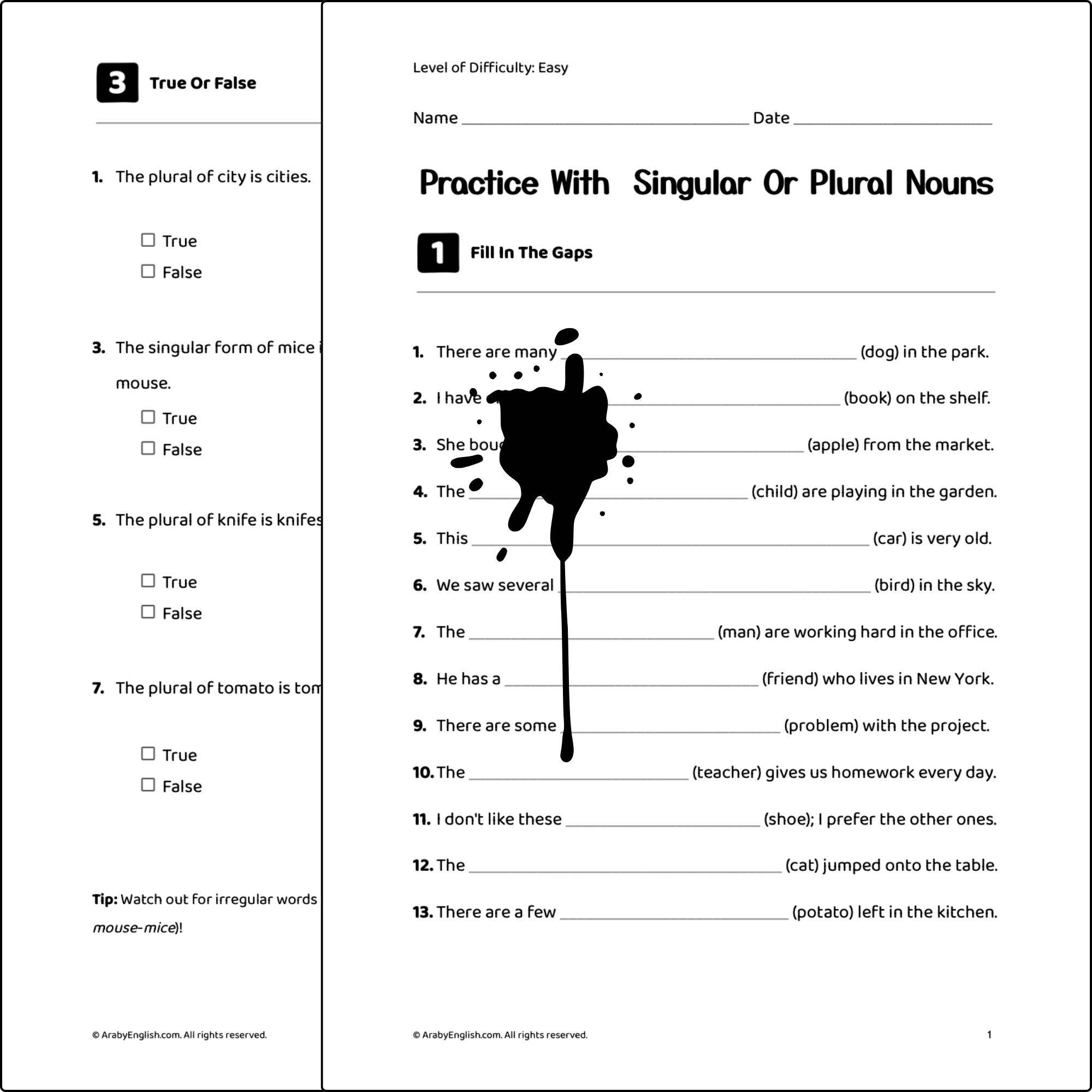 Practice with Singular or Plural Nouns