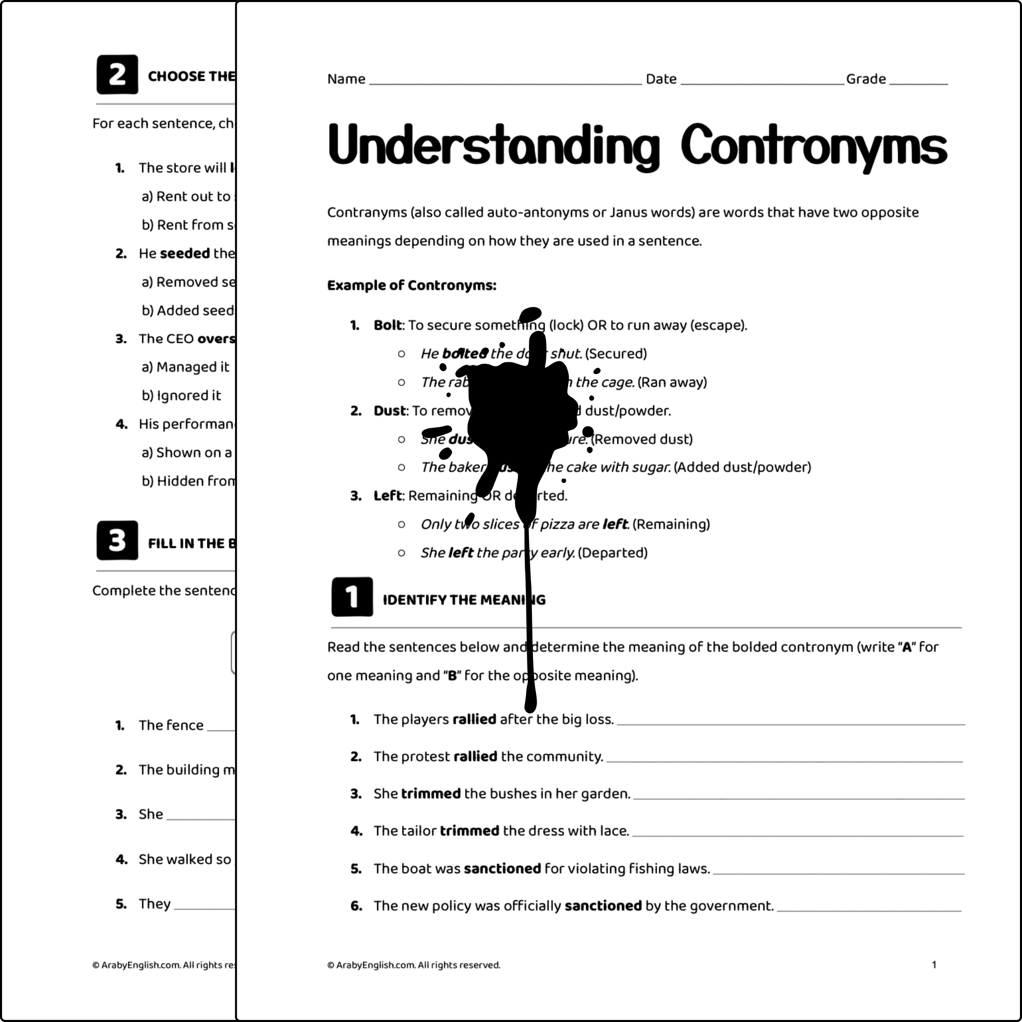 Understanding Contronyms