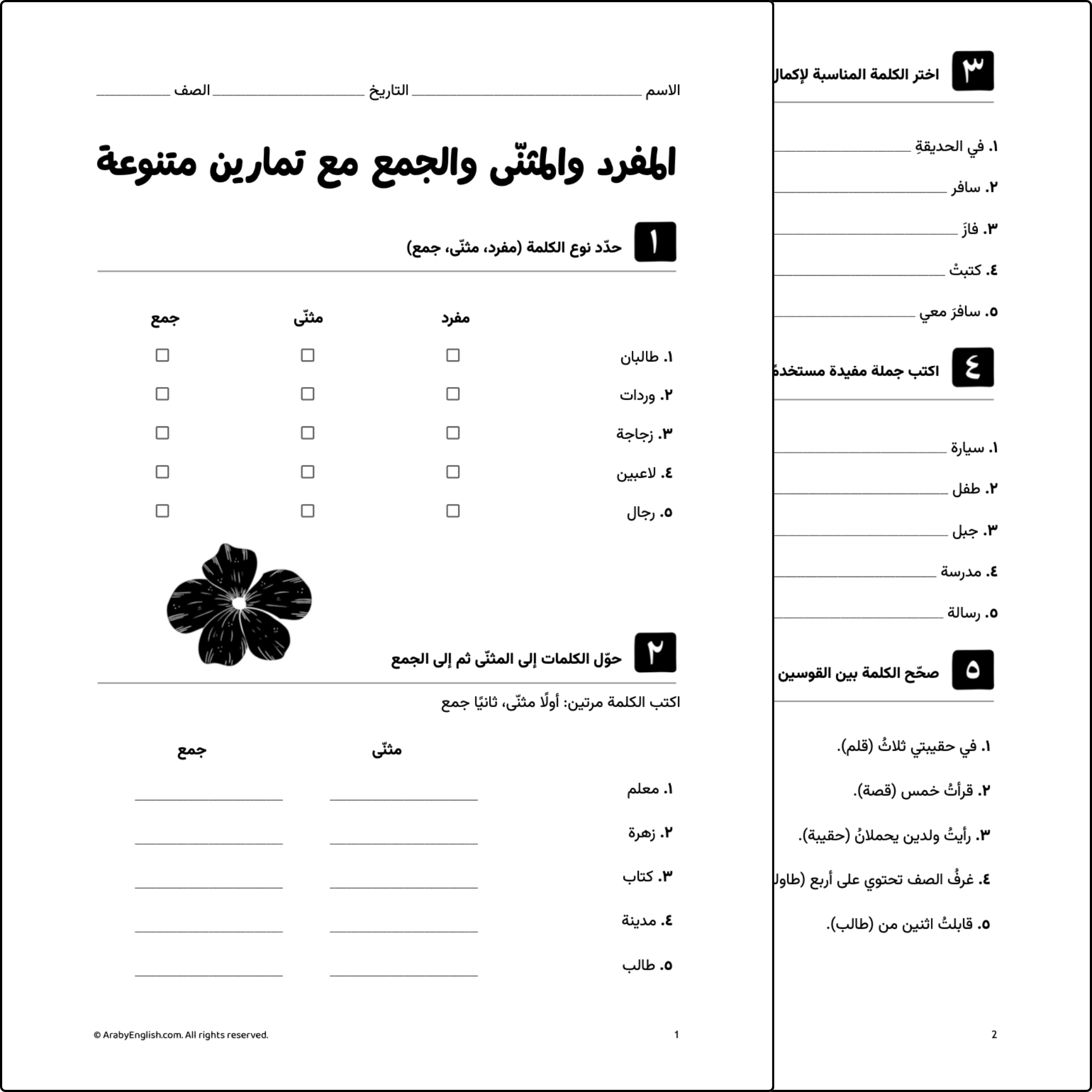 ورقة عمل: المفرد والمثنّى والجمع مع تمارين متنوعة