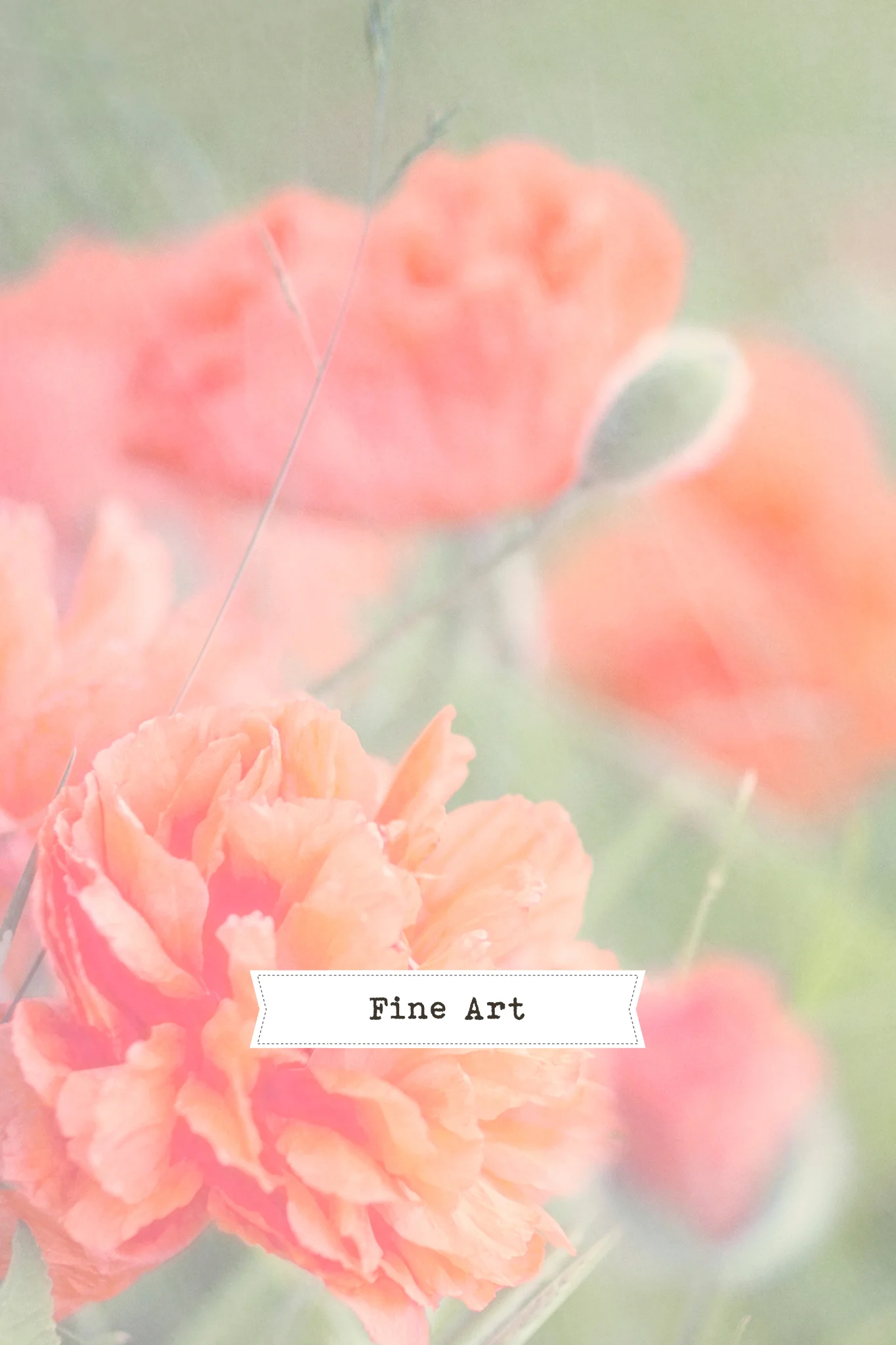 fineart.jpg