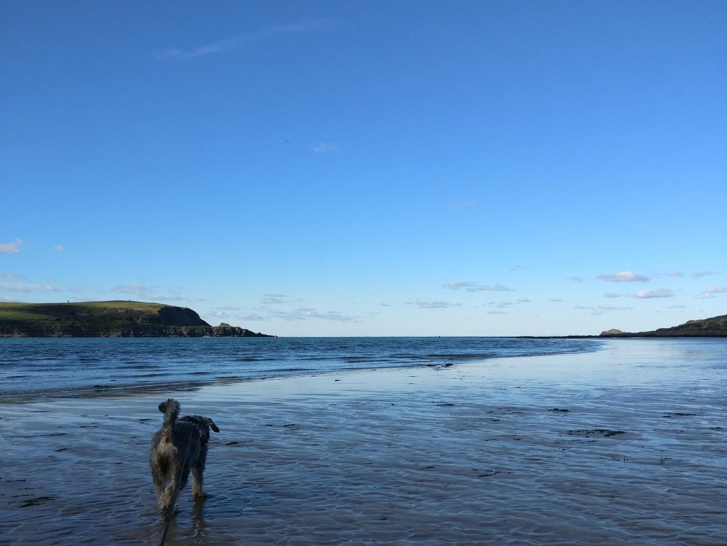 Finding clarity amidst the noise