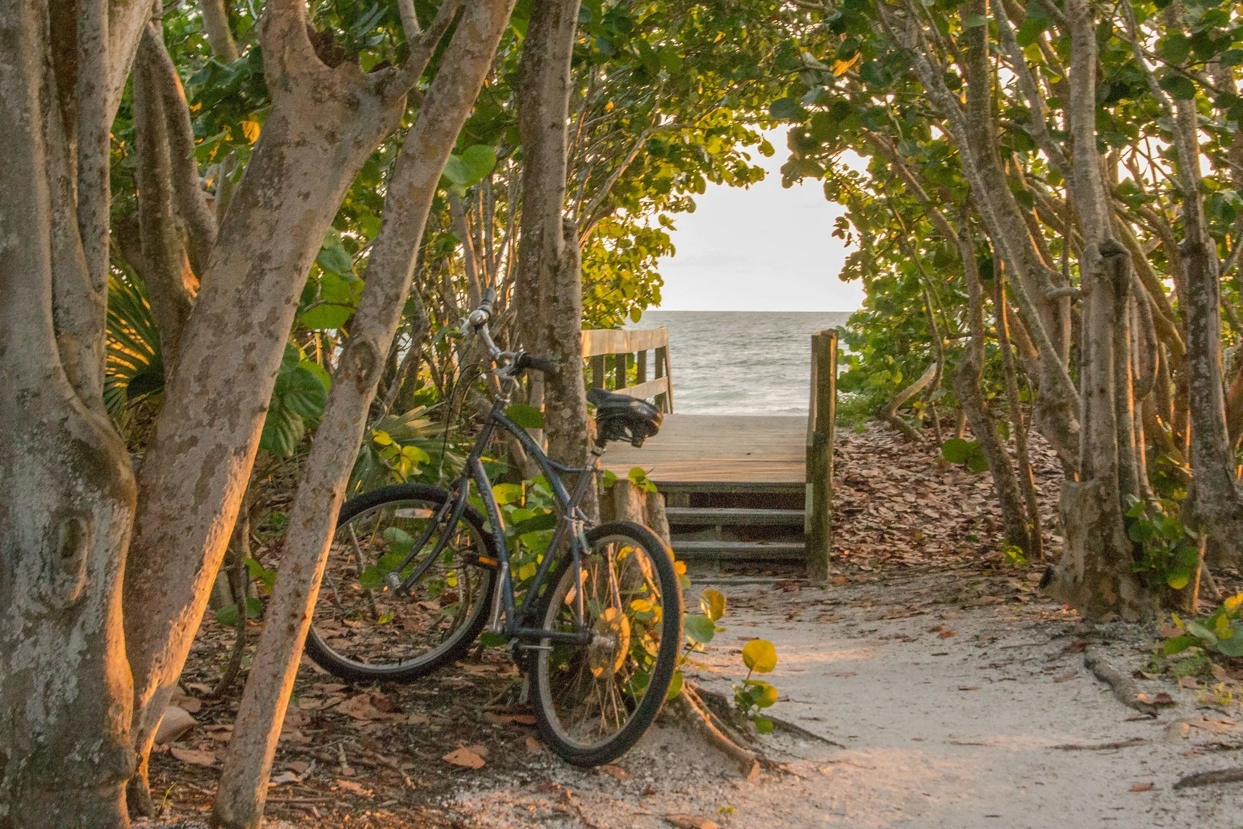 Sanibel Island, Florida: A Haven of Fun and Real Estate Opportunities