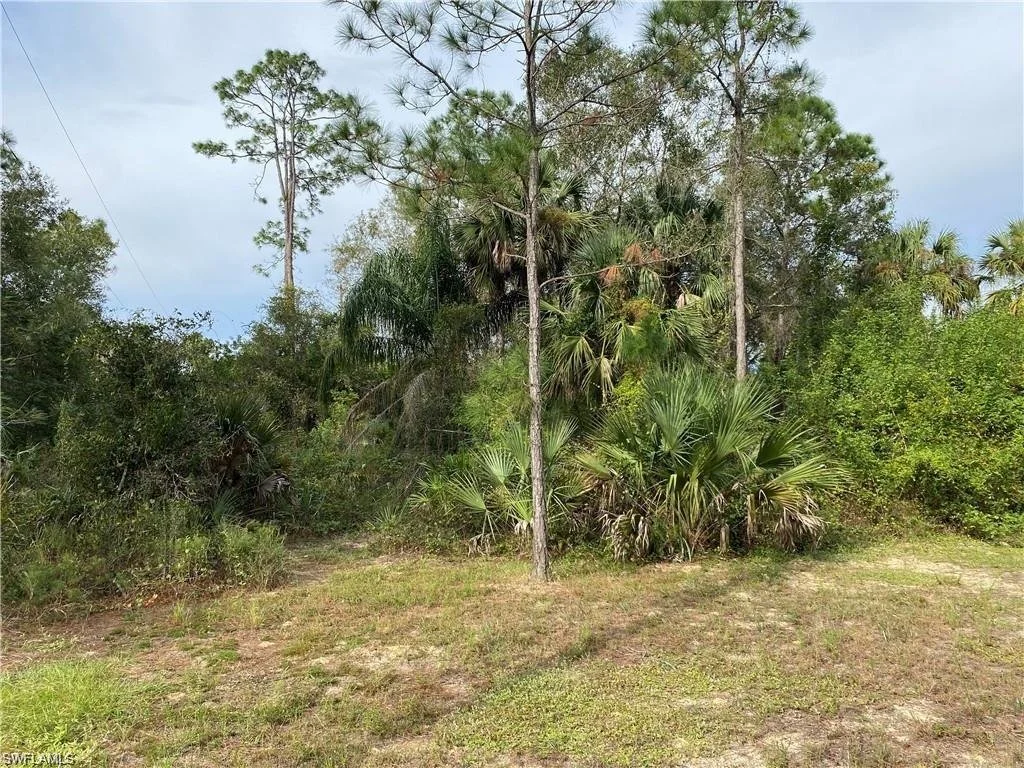 0.29-Acre Lot in Lehigh Acres – Prime Location for $30,000!