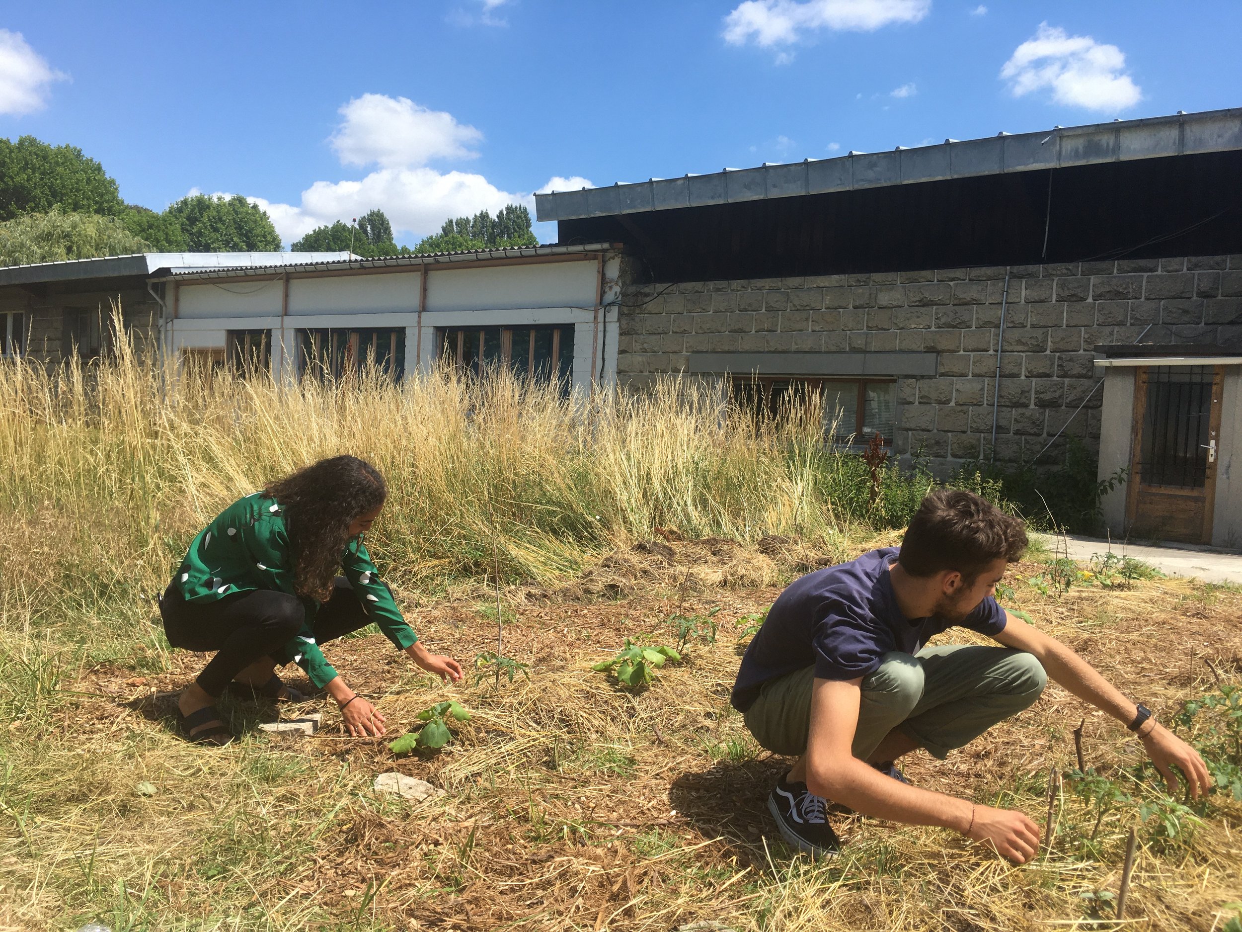 Création d 'une ferme urbaine 