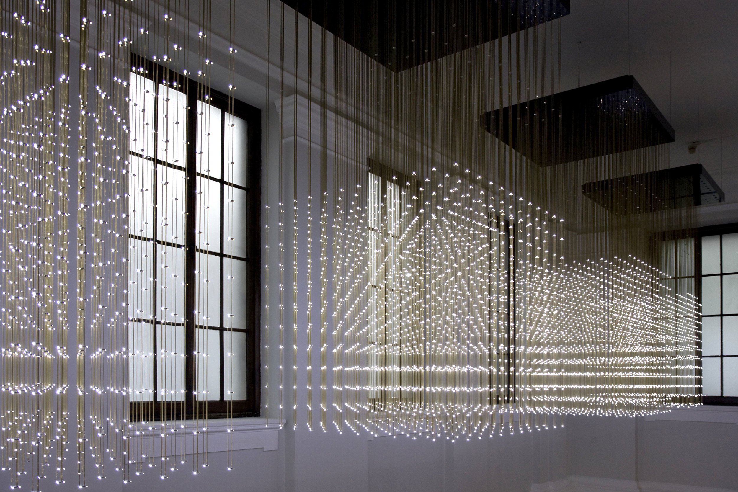 SWARM STUDY : III, 2011 .jpeg