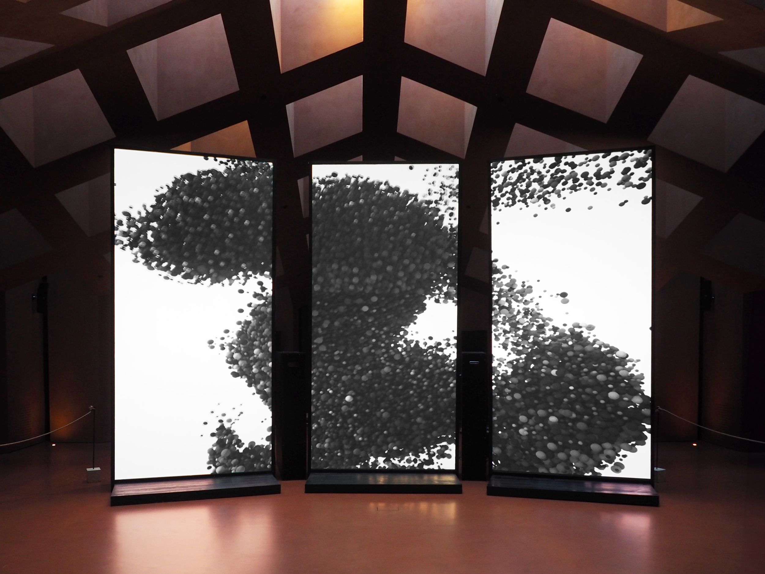 P8220953.png