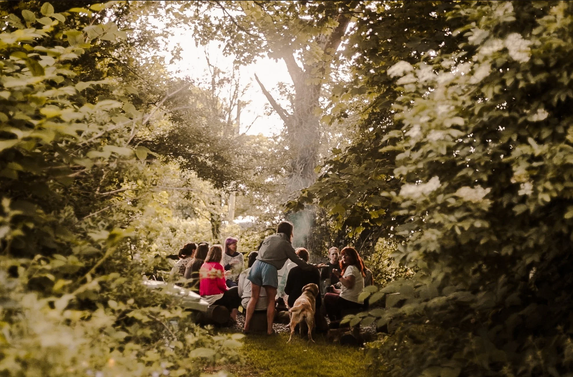 Screenshot 2025-06-10 at 16.37.14.jpg