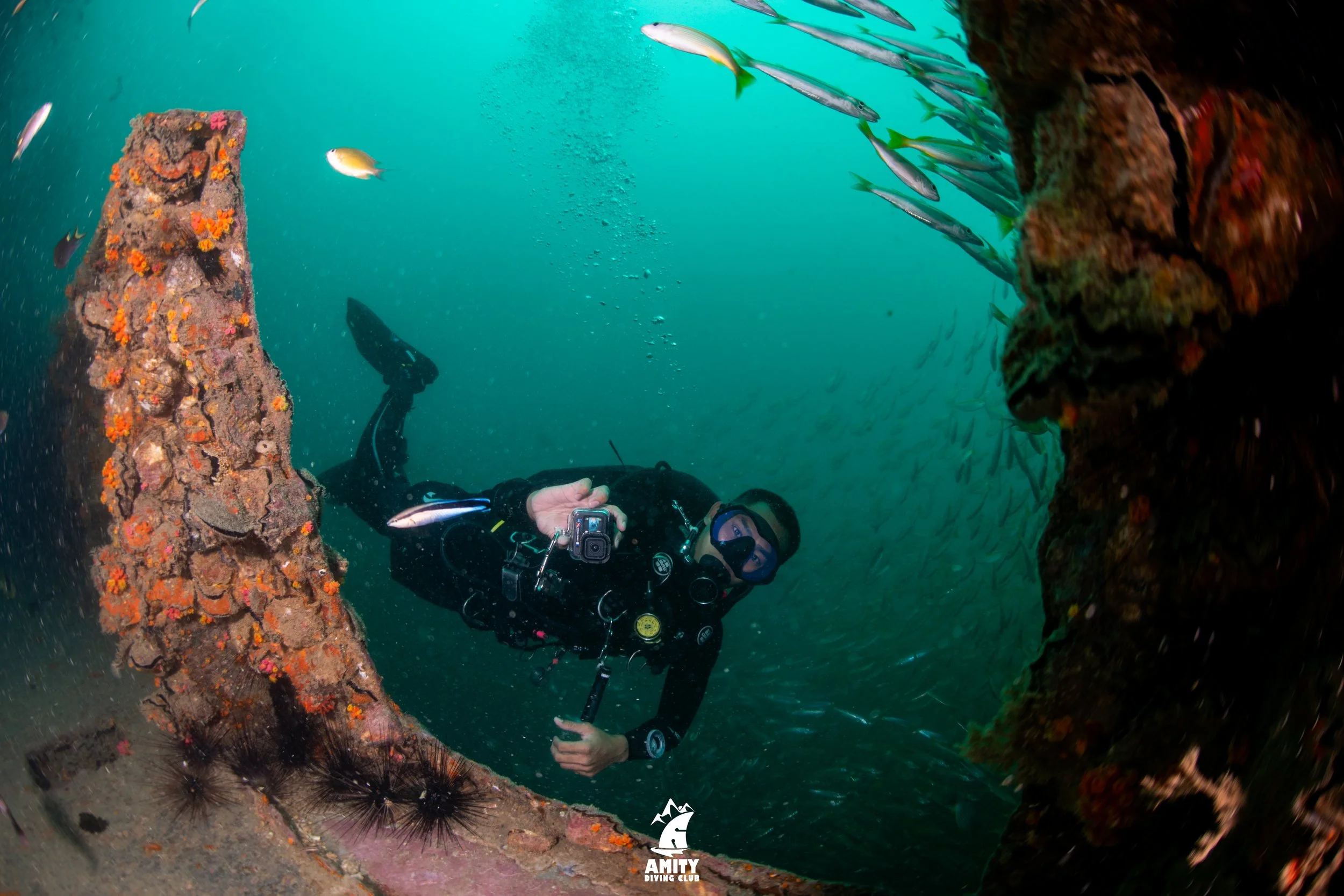 A scuba diver exploring underwater near a coral-covered structure with a school of fish swimming in the background, symbolizing exploration and discovery in a collaborative environment.