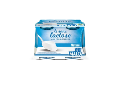 Laitière vanille sans lactose MALO 4x125g