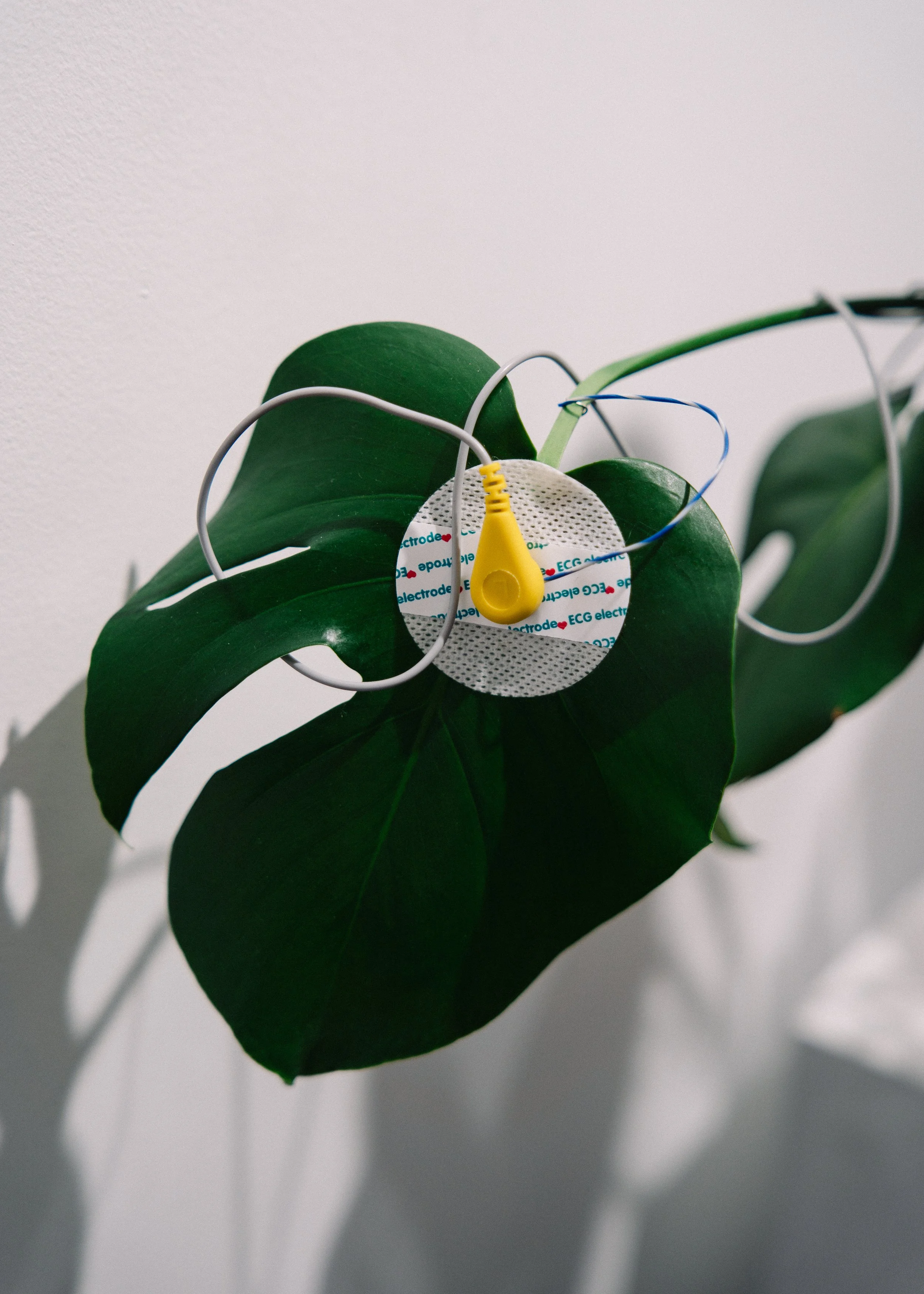 CompartmentExhibition-035.JPEG