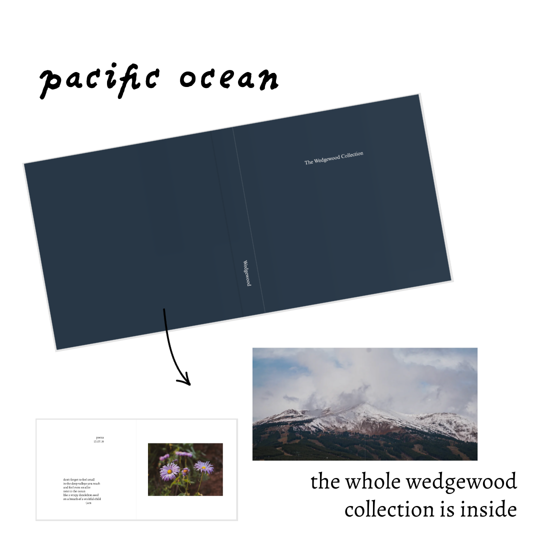 Untitled-7.png