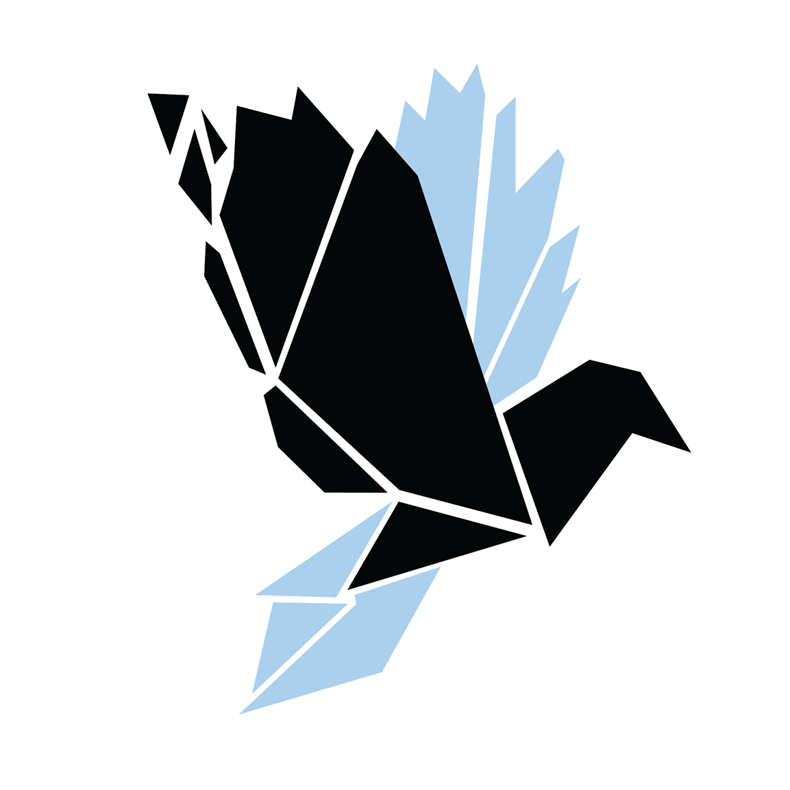 Crow Name Logo