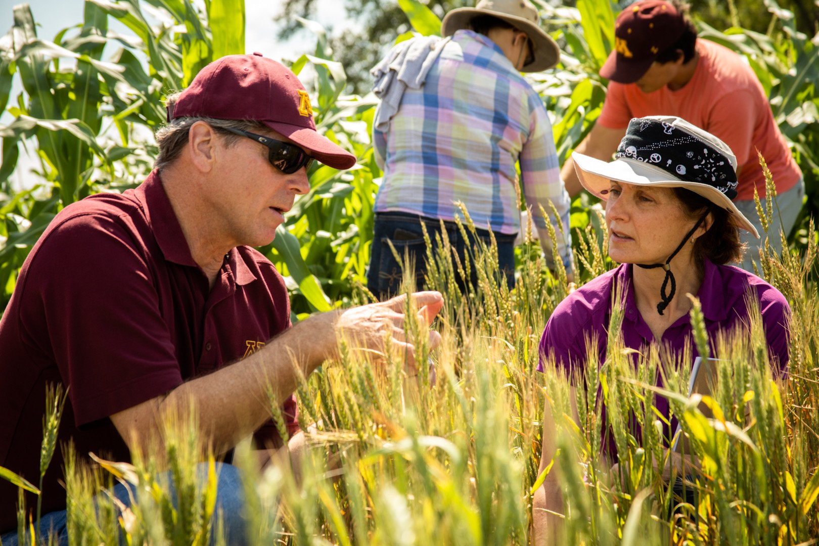 Chicago Council Blog by Diana Horvath – From Molecule to Market: Using Innovative Plant Breeding to Build Global Food Security