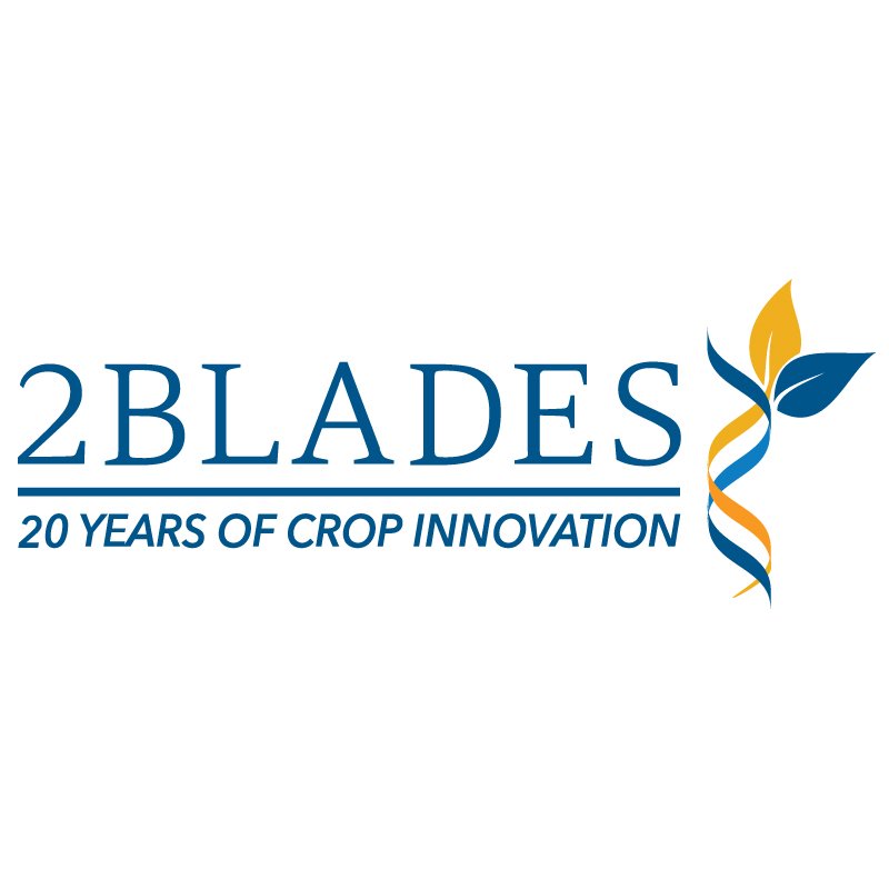 Job Opportunity: Director of Strategic Partnerships 